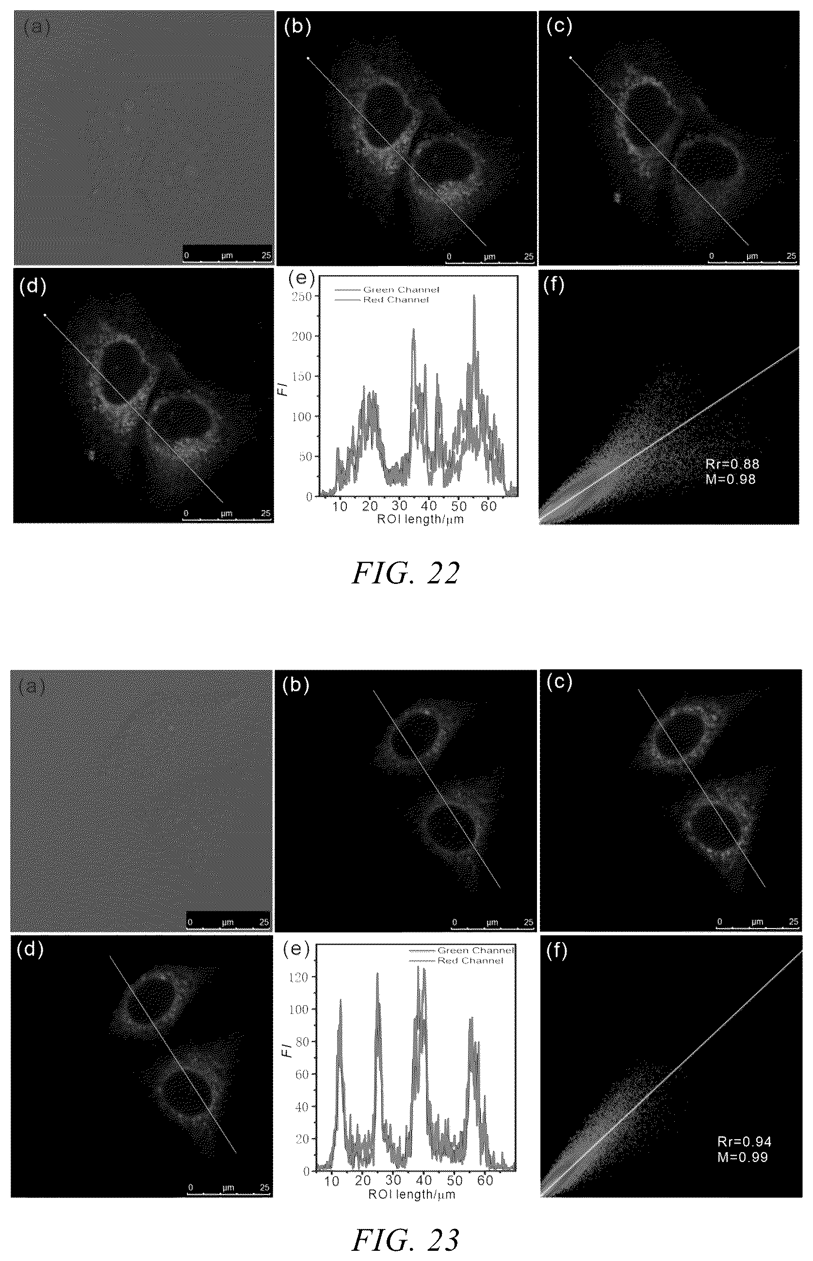Patent US12359121 Figure 11 – Neutral fluorescent mitochondrial marker as amide derivative, and preparation method and use thereof