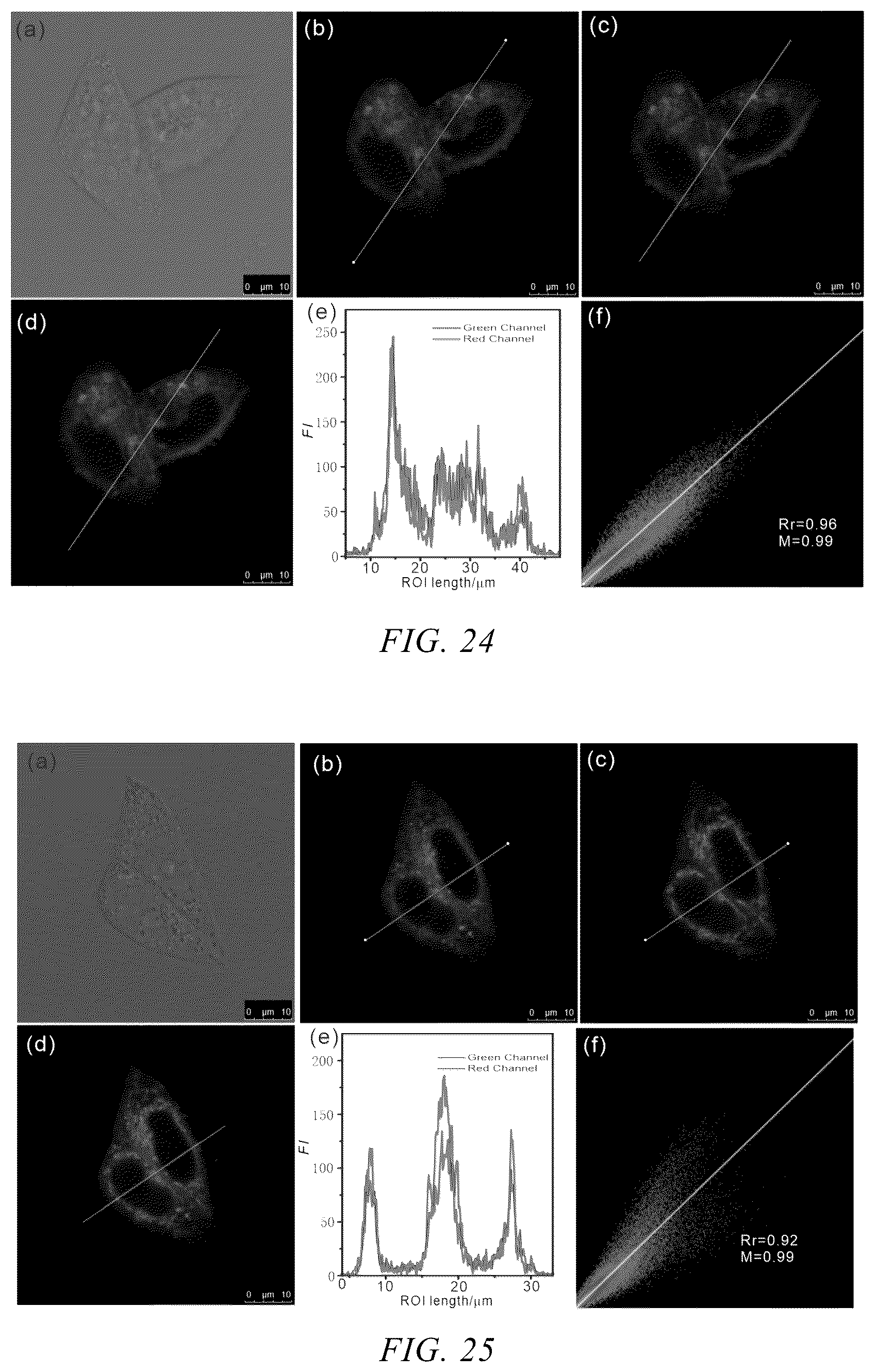 Patent US12359121 Figure 12 – Neutral fluorescent mitochondrial marker as amide derivative, and preparation method and use thereof