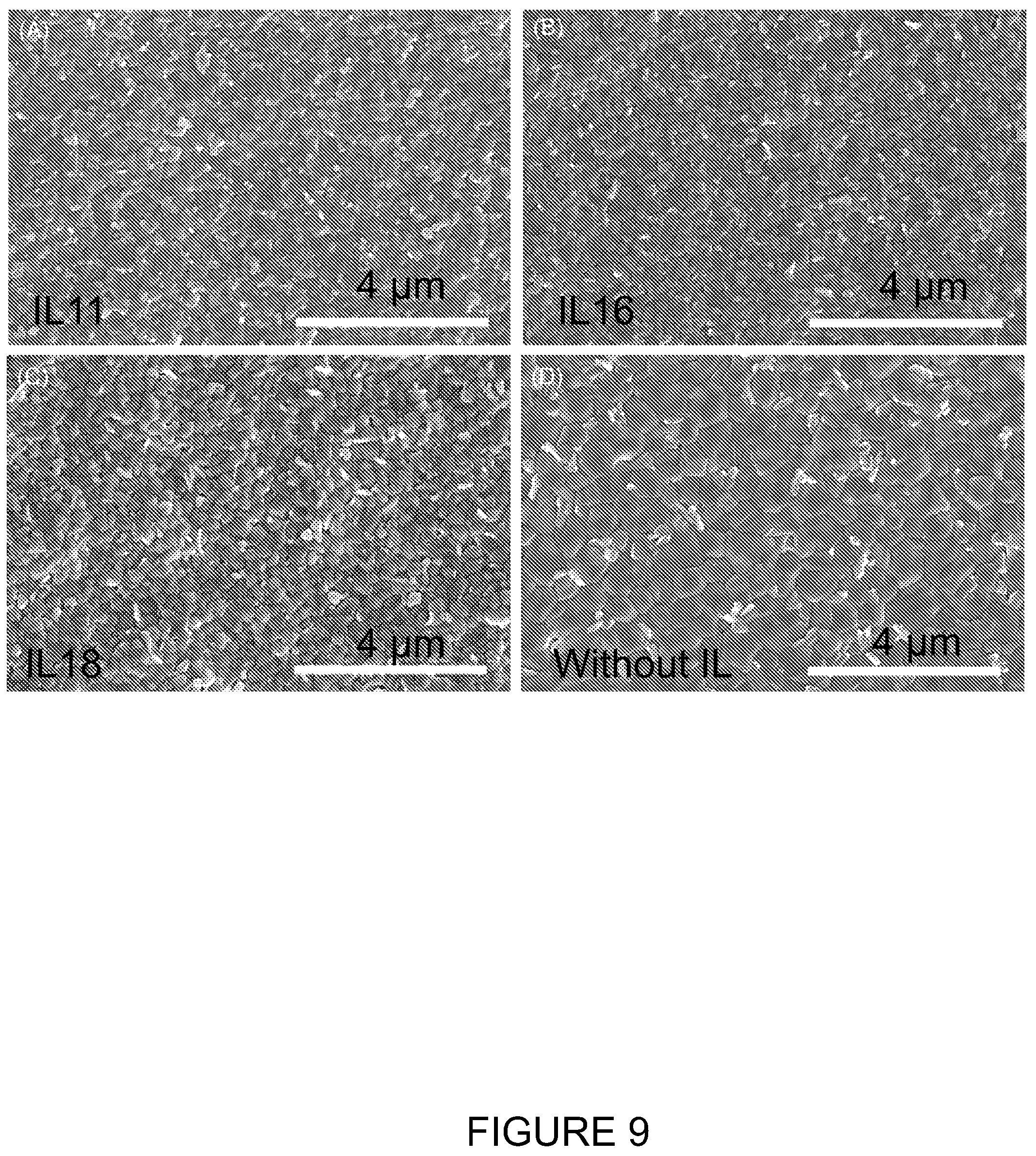 Patent US12359122 Figure 9 – Ionic liquid perovskite devices