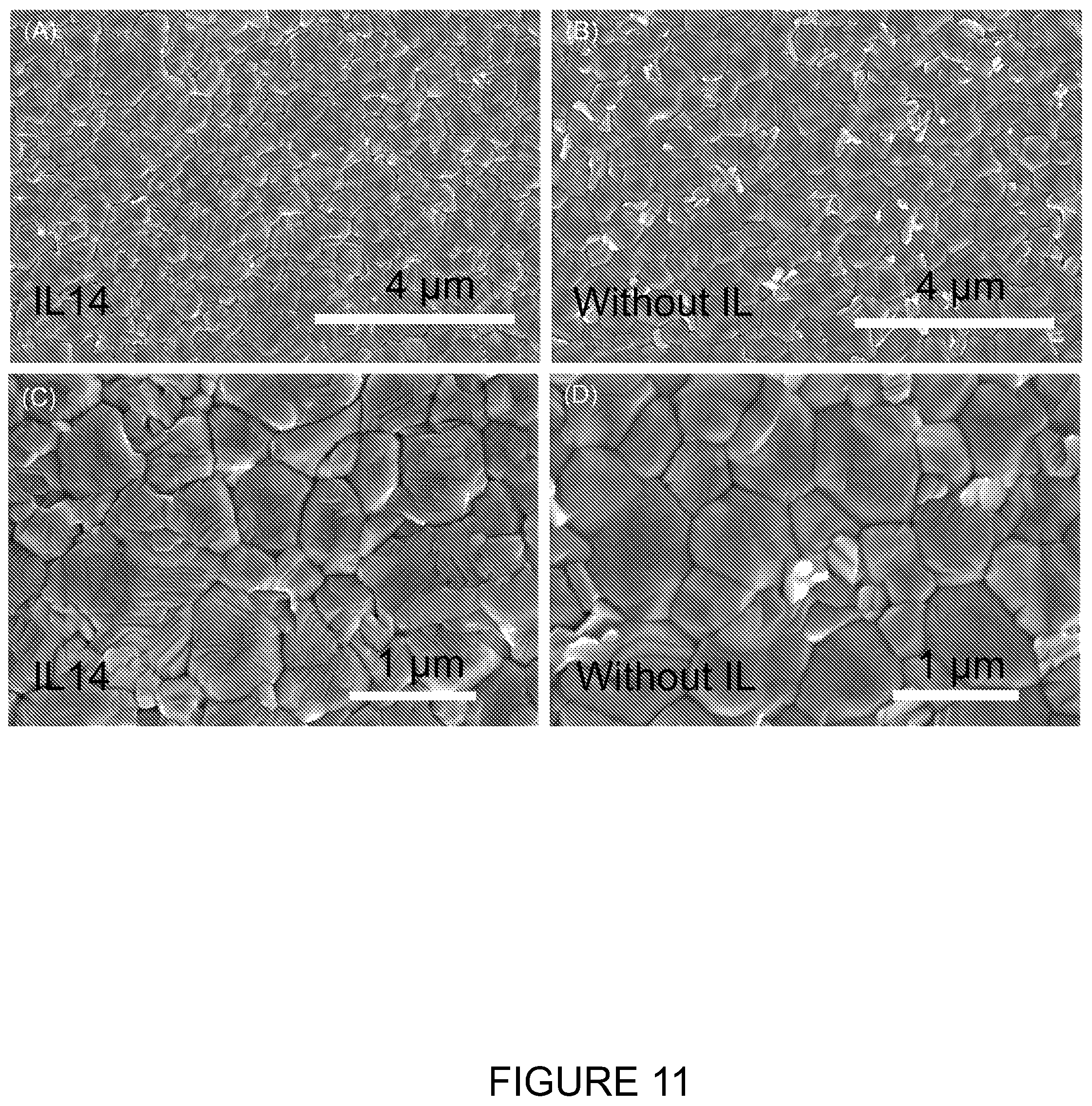 Patent US12359122 Figure 11 – Ionic liquid perovskite devices