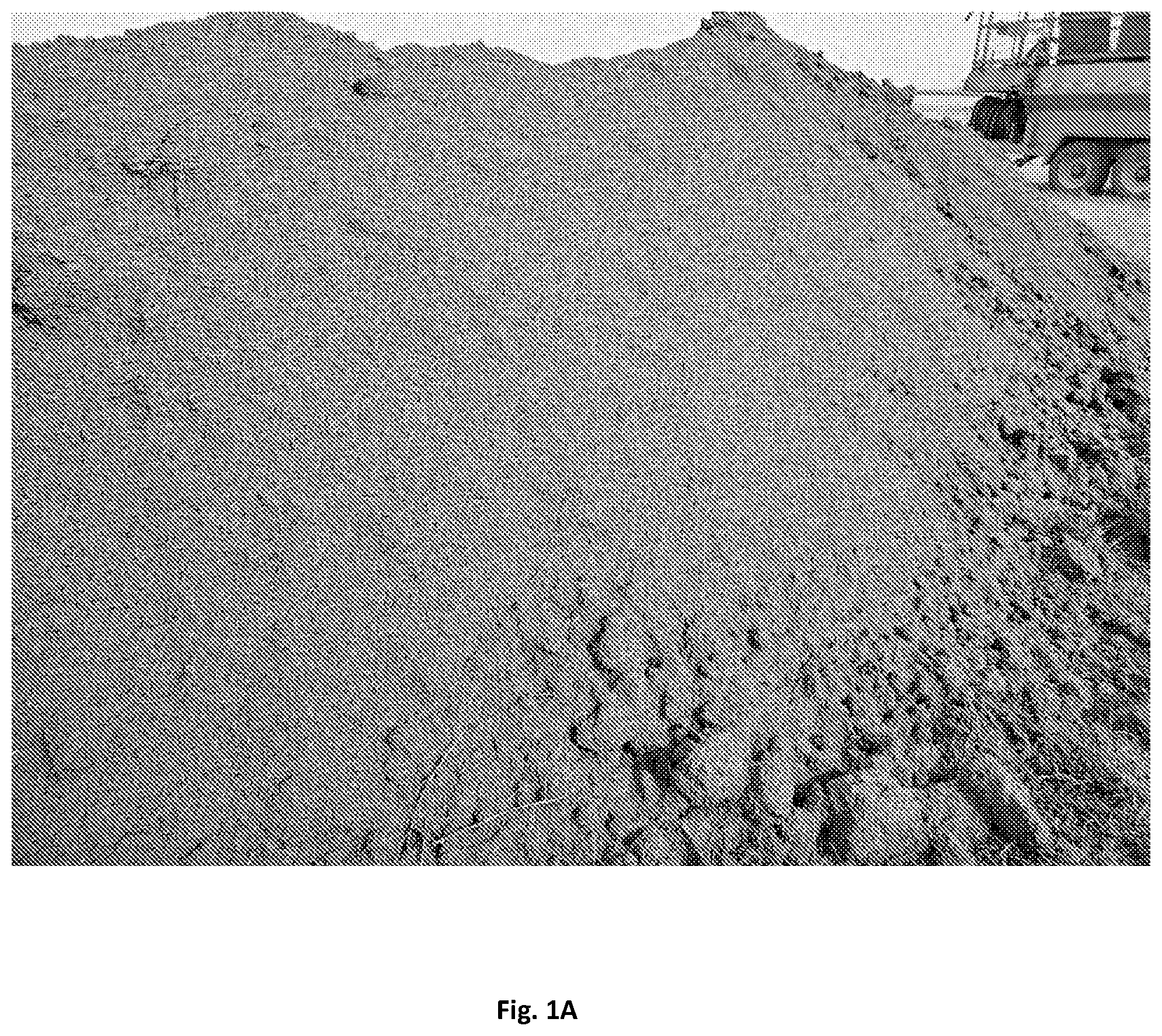 Patent US12359126 Figure 1 – Hydromulch composition and method of use thereof