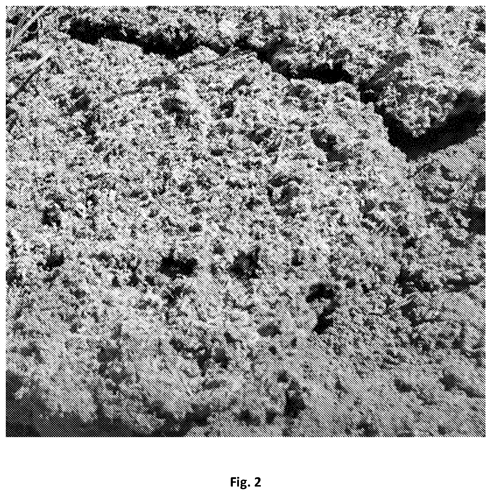 Patent US12359126 Figure 3 – Hydromulch composition and method of use thereof