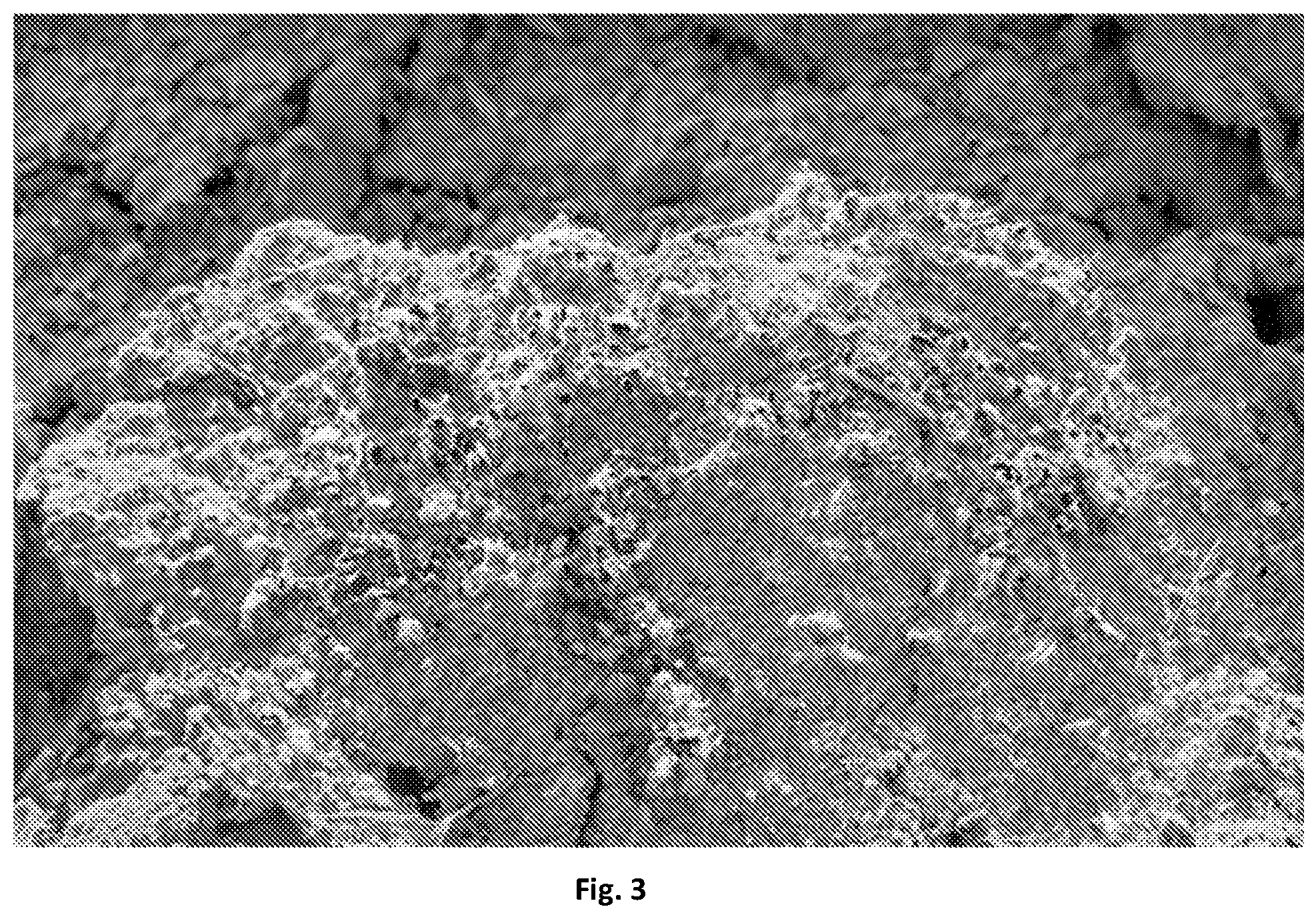 Patent US12359126 Figure 4 – Hydromulch composition and method of use thereof