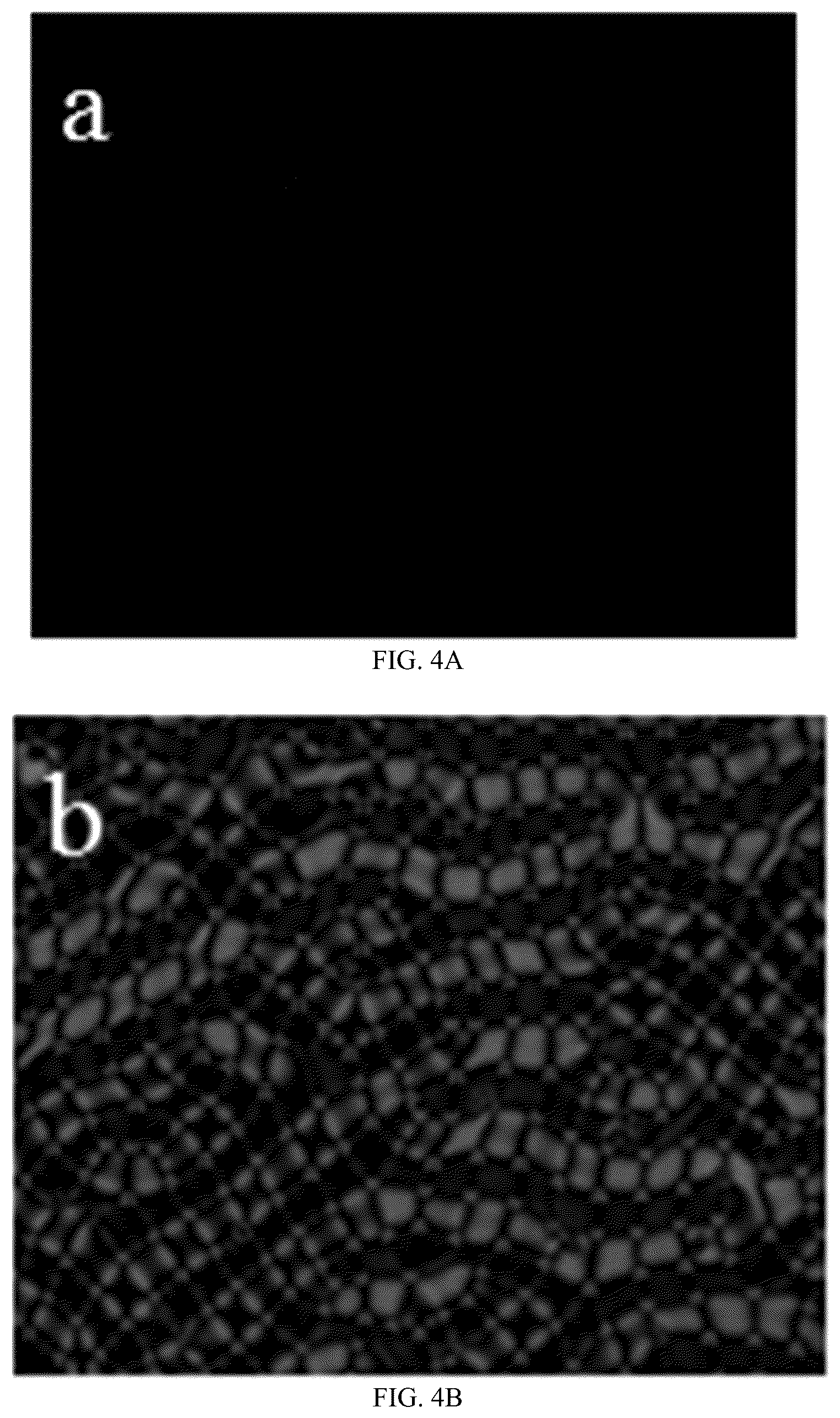 Patent US12359129 Figure 7 – Liquid crystal material applied to multi-response-mode smart window and application thereof