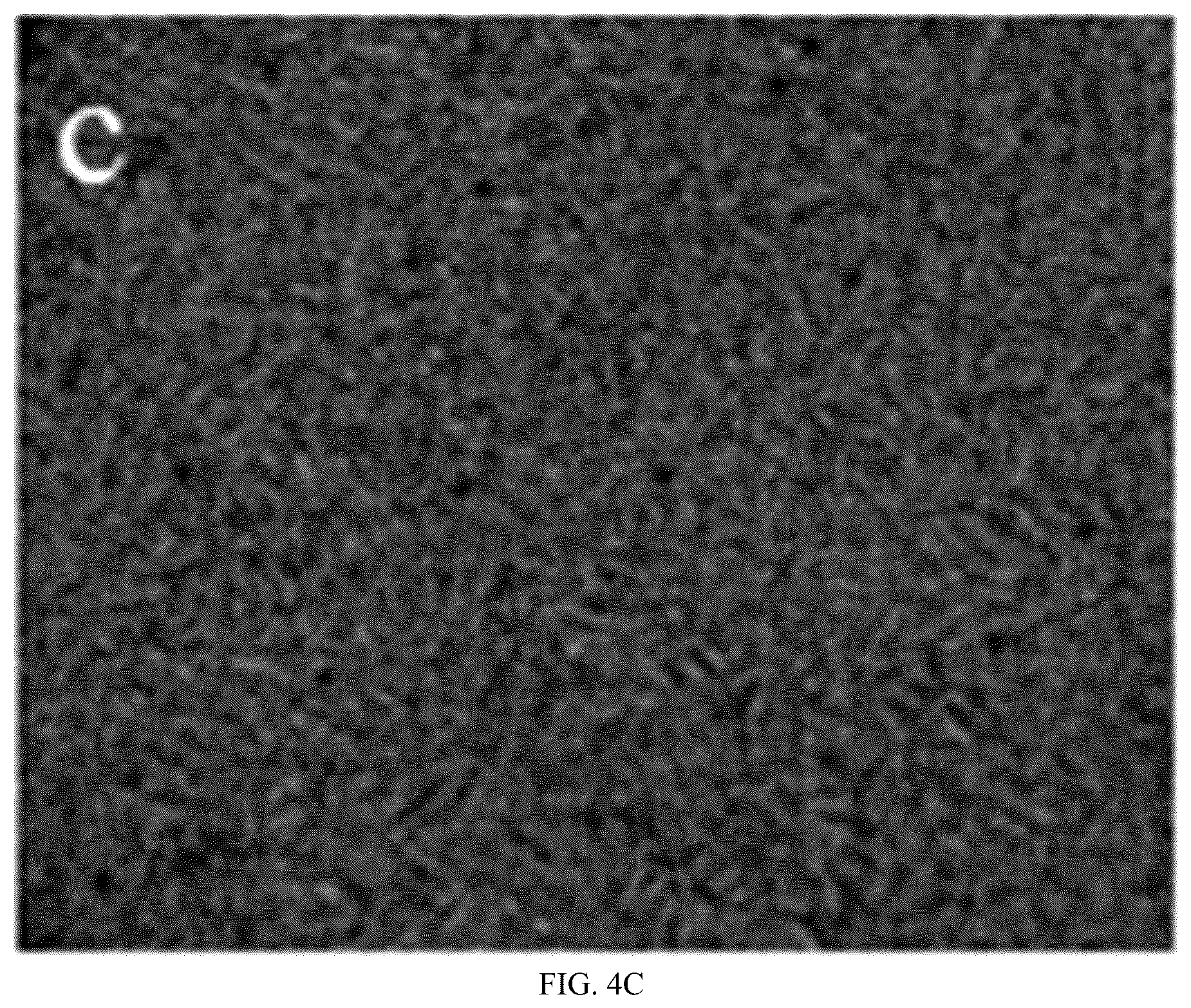 Patent US12359129 Figure 8 – Liquid crystal material applied to multi-response-mode smart window and application thereof