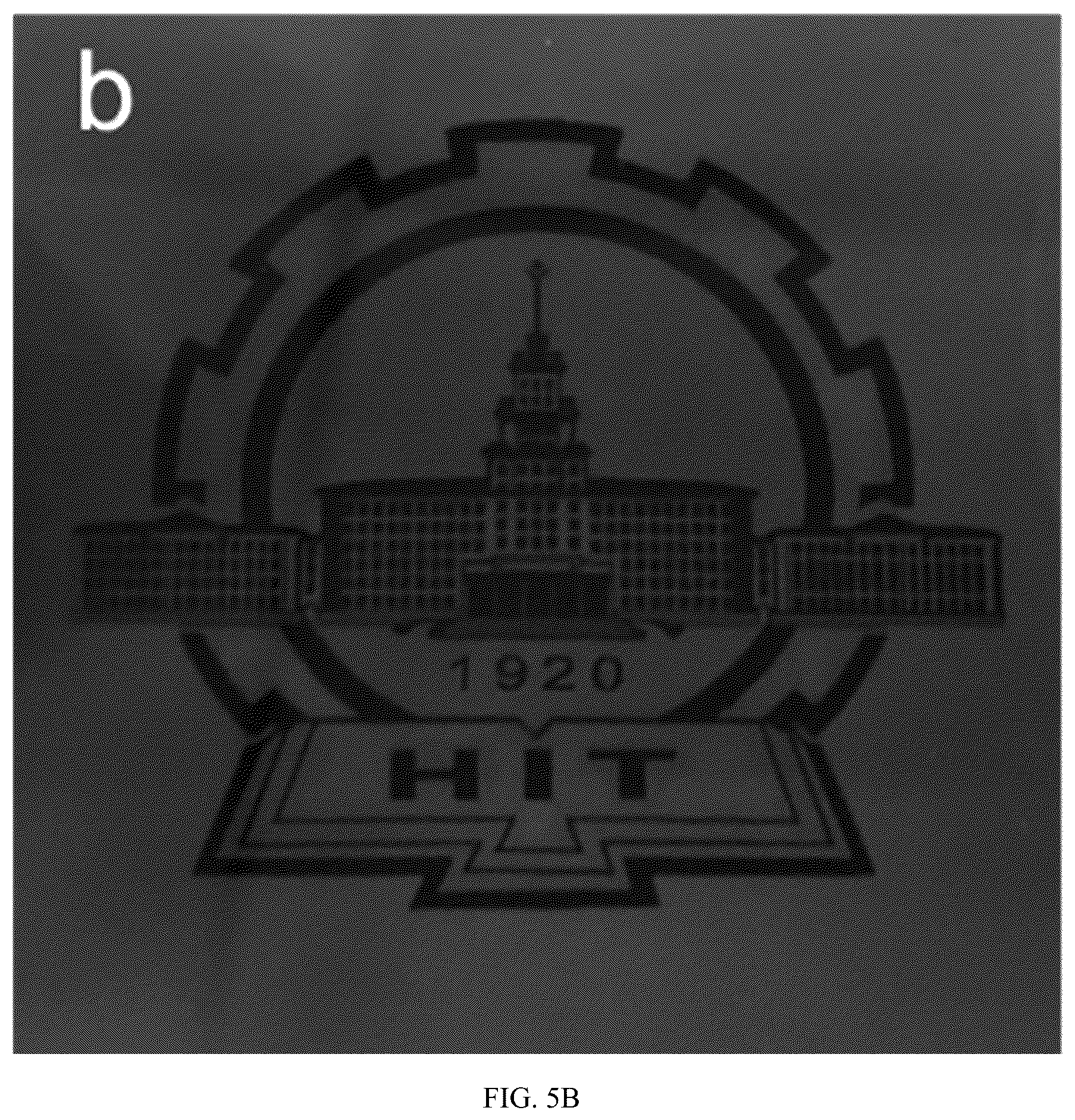 Patent US12359129 Figure 10 – Liquid crystal material applied to multi-response-mode smart window and application thereof