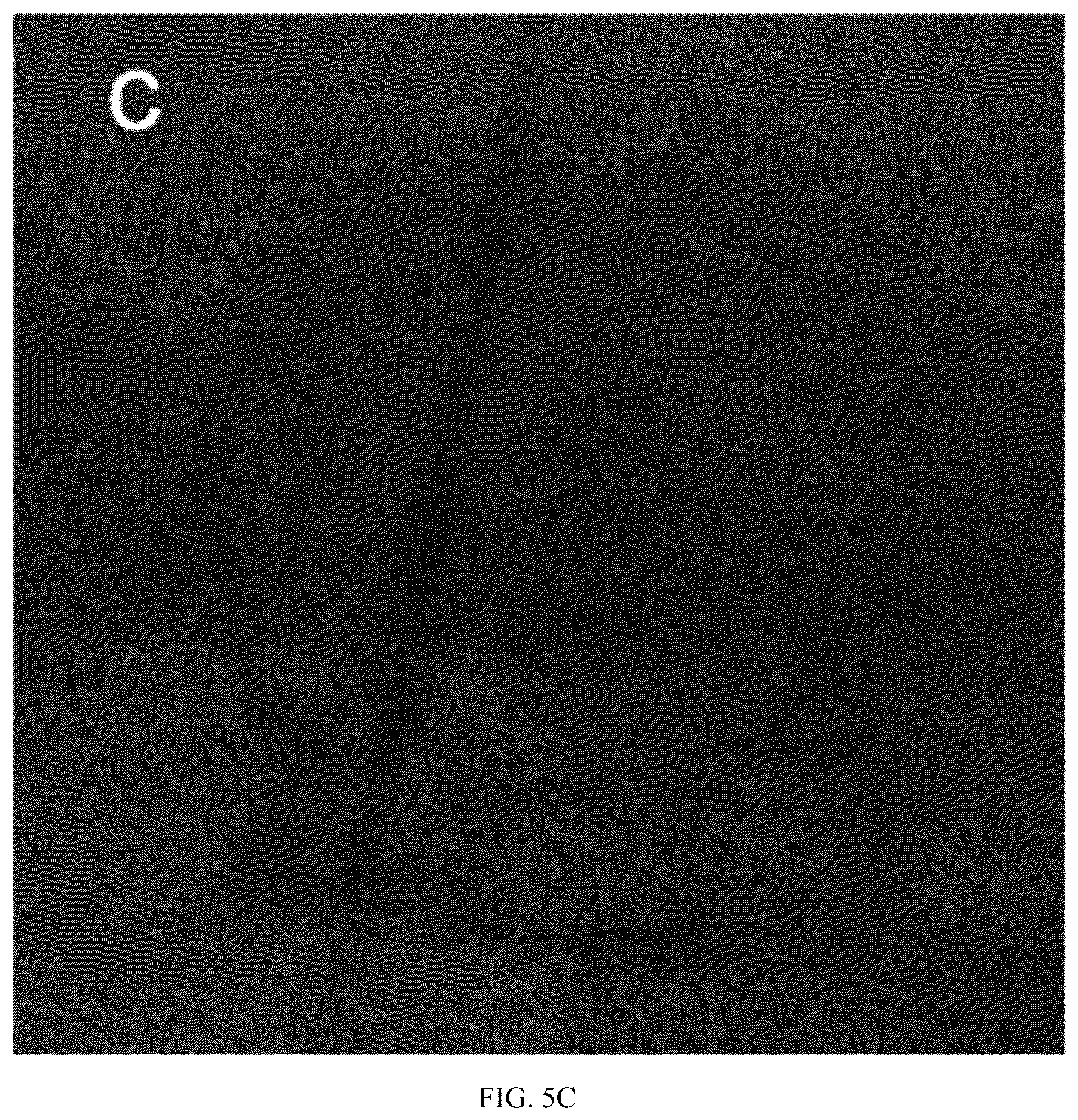 Patent US12359129 Figure 11 – Liquid crystal material applied to multi-response-mode smart window and application thereof