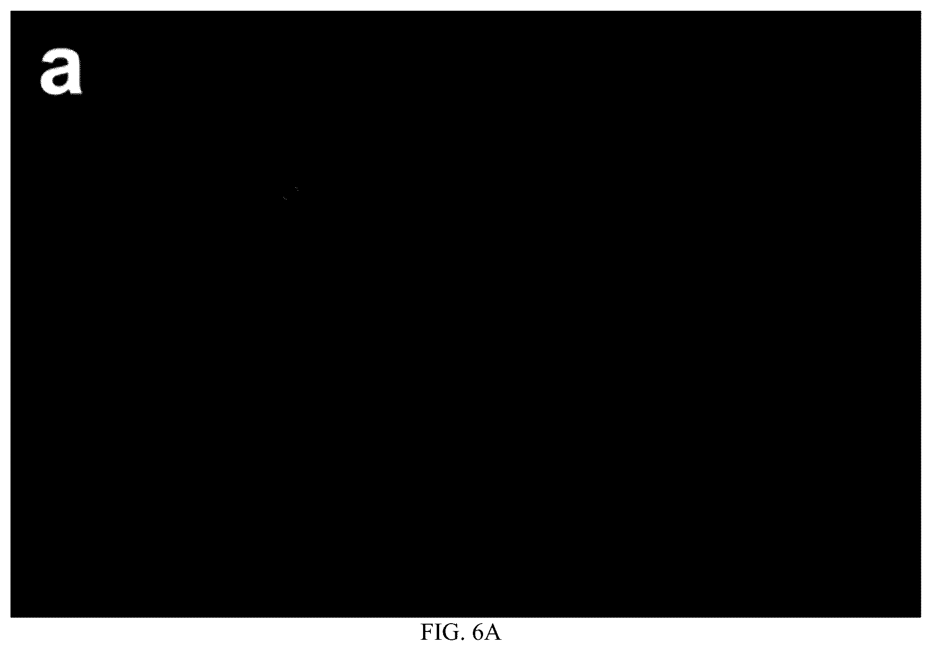 Patent US12359129 Figure 13 – Liquid crystal material applied to multi-response-mode smart window and application thereof