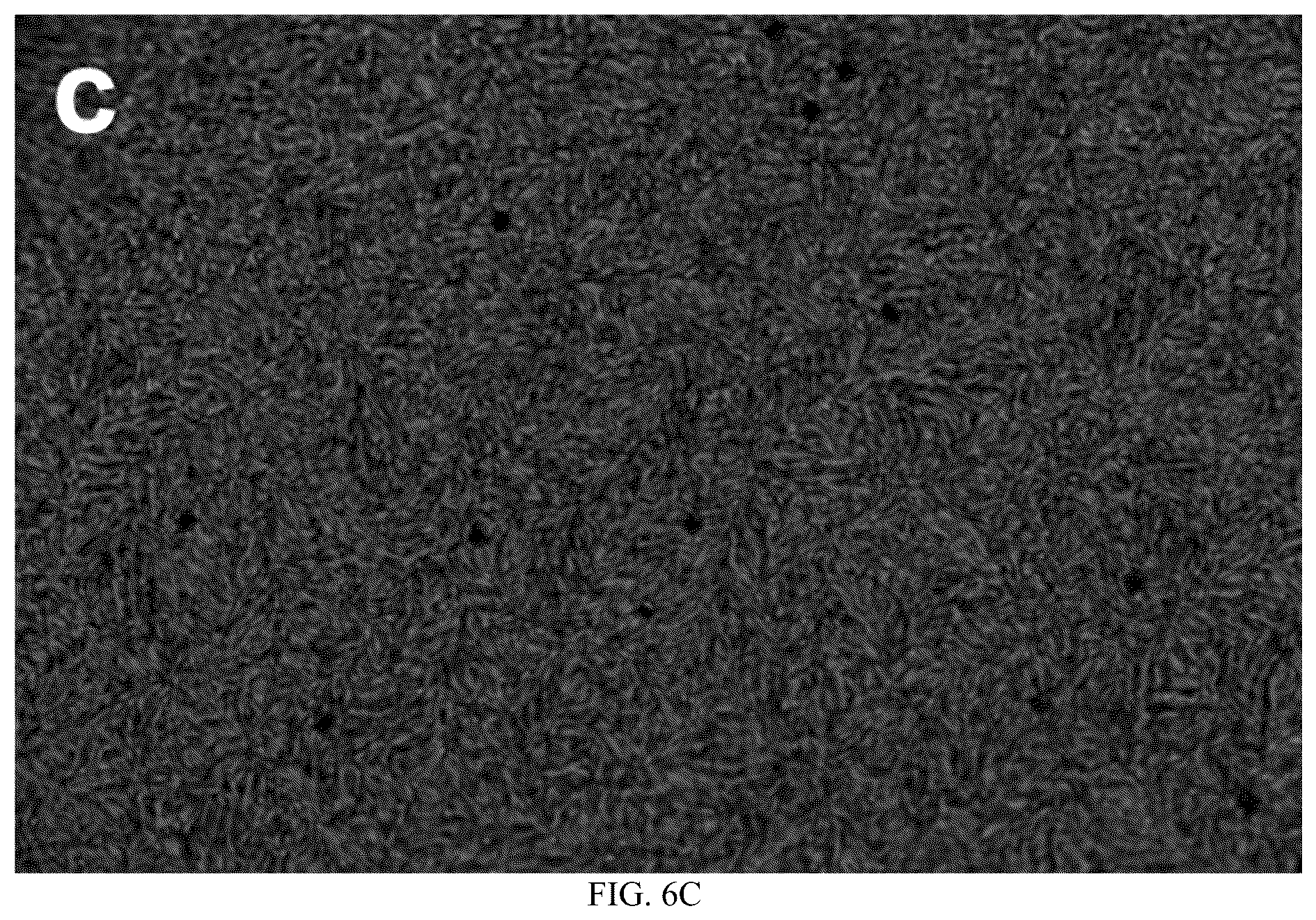Patent US12359129 Figure 15 – Liquid crystal material applied to multi-response-mode smart window and application thereof