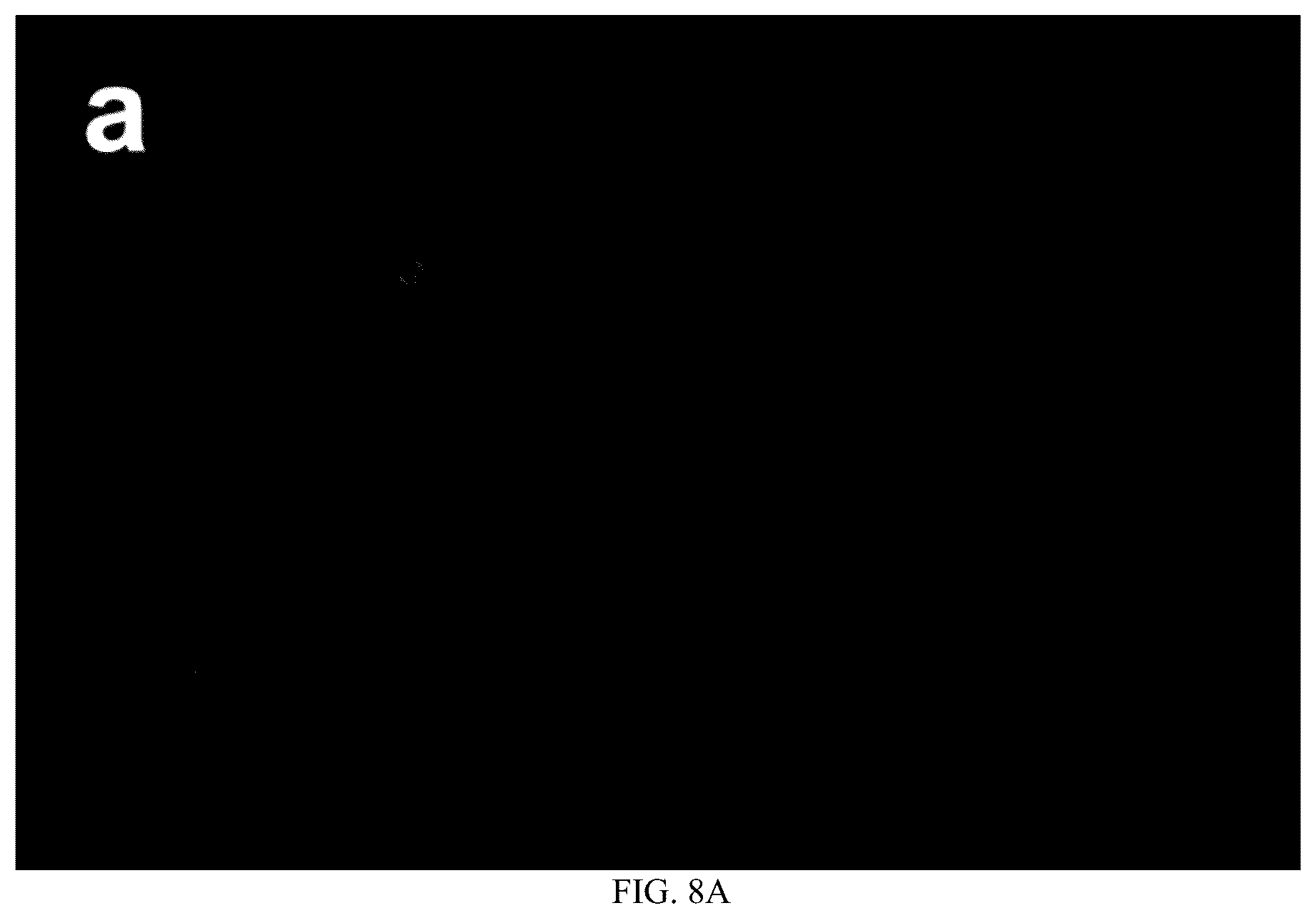 Patent US12359129 Figure 20 – Liquid crystal material applied to multi-response-mode smart window and application thereof
