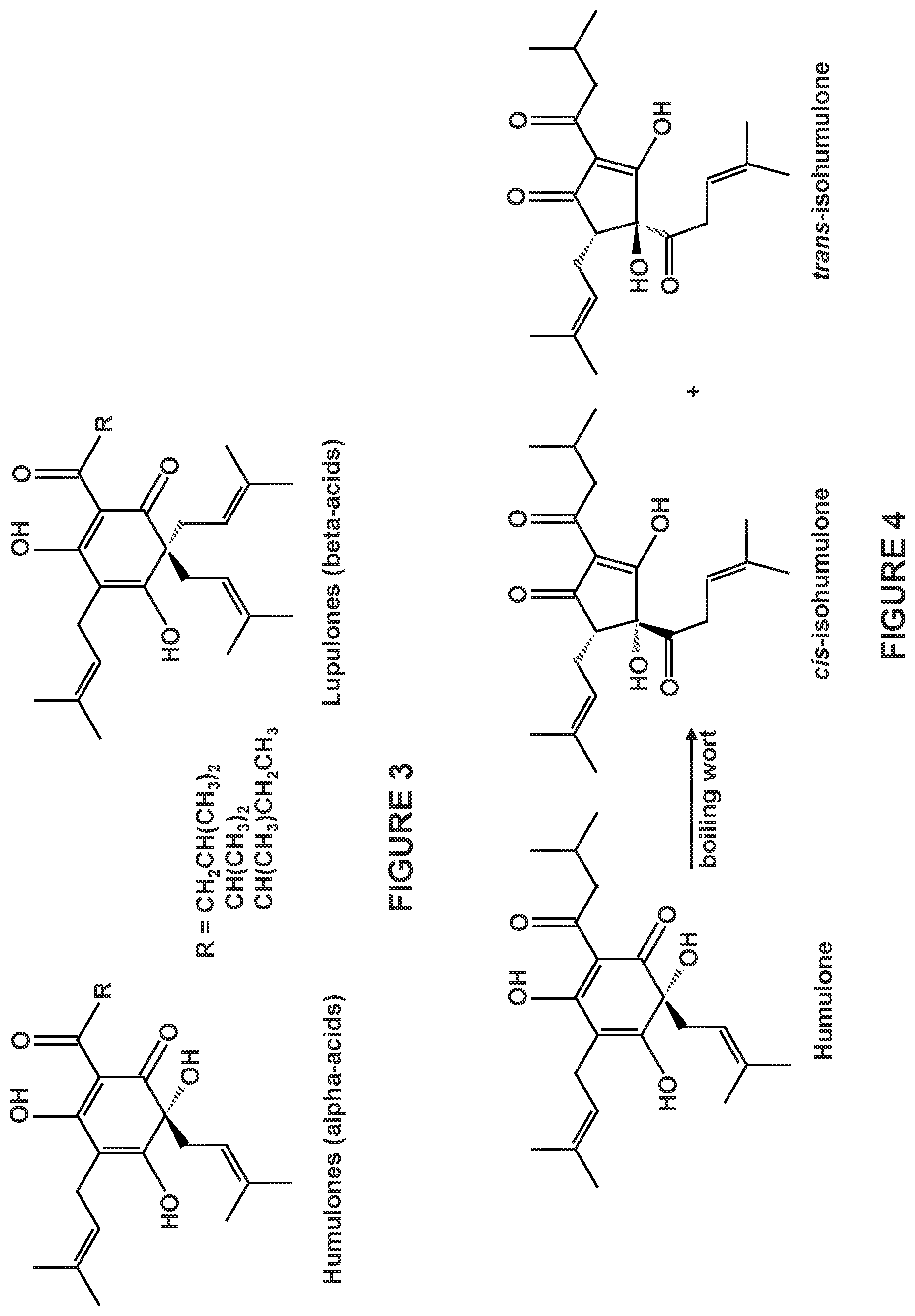 Patent US12359152 Figure 2 – Methods for sterilizing fermented beverages