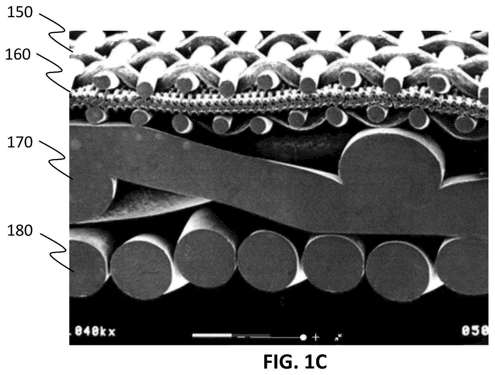 Patent US12359154 Figure 3 – Methods for cultivating tissue on porous substrates