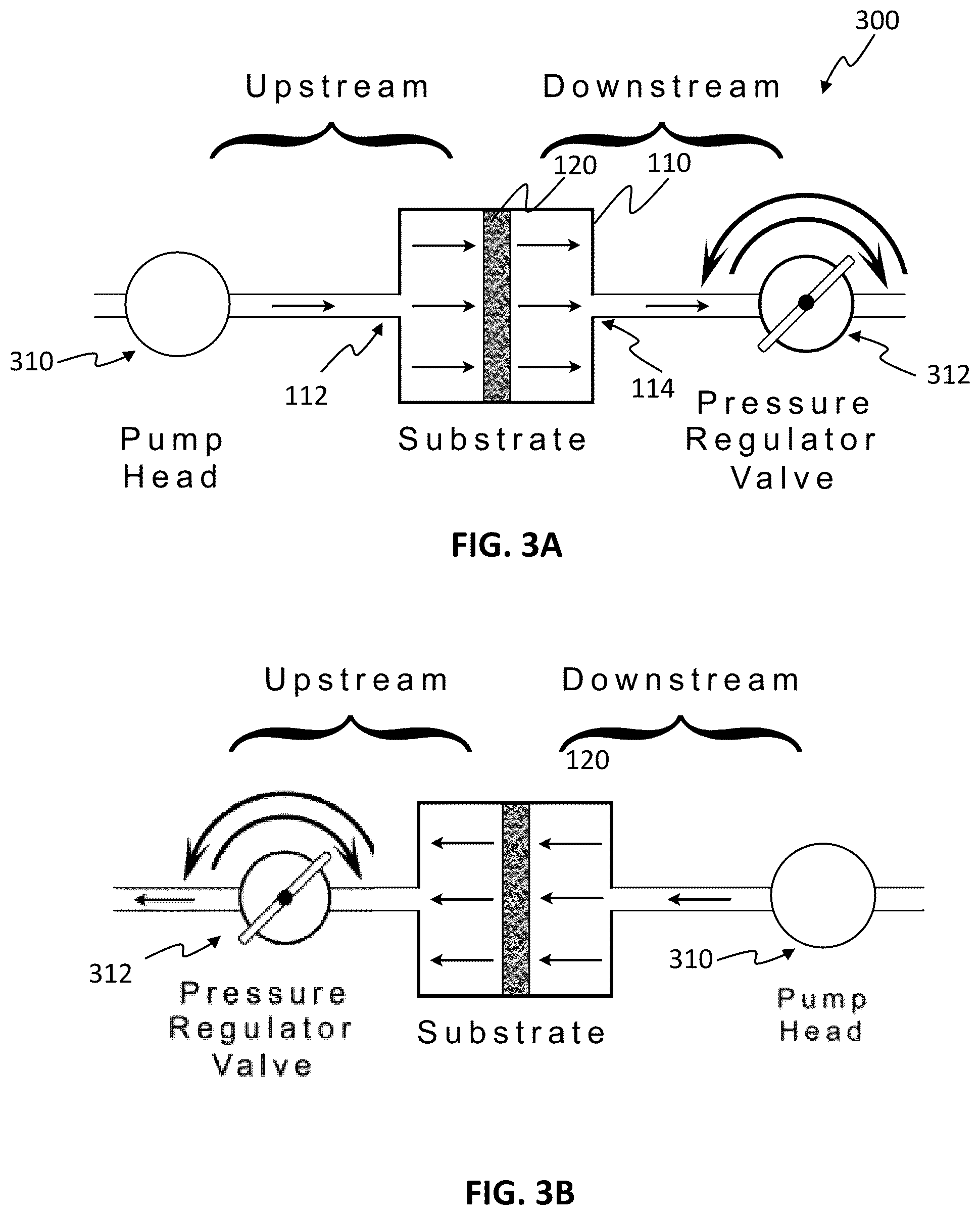 Patent US12359154 Figure 5 – Methods for cultivating tissue on porous substrates