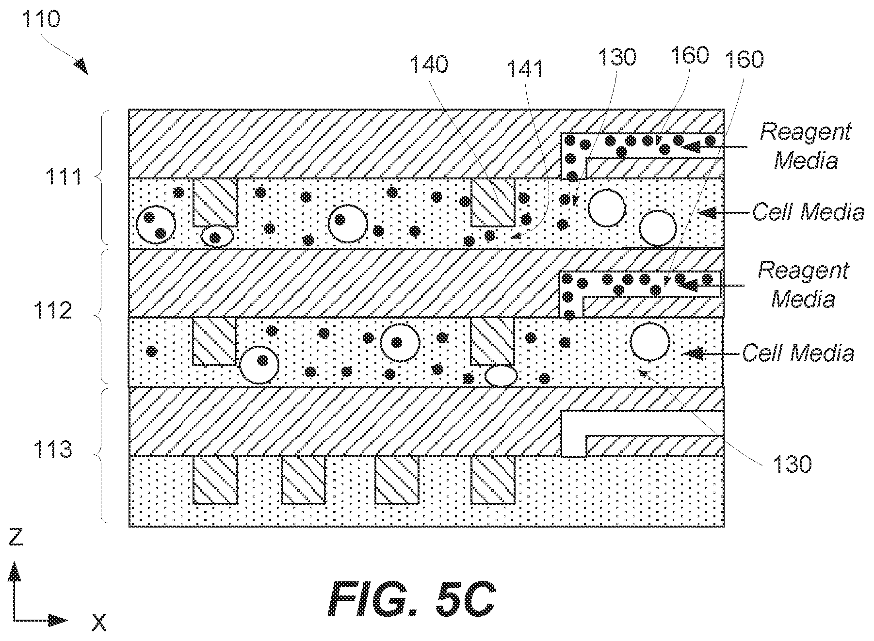 Patent US12359158 Figure 13 – Methods and systems for mechanoporation-based high-throughput payload delivery into biological cells