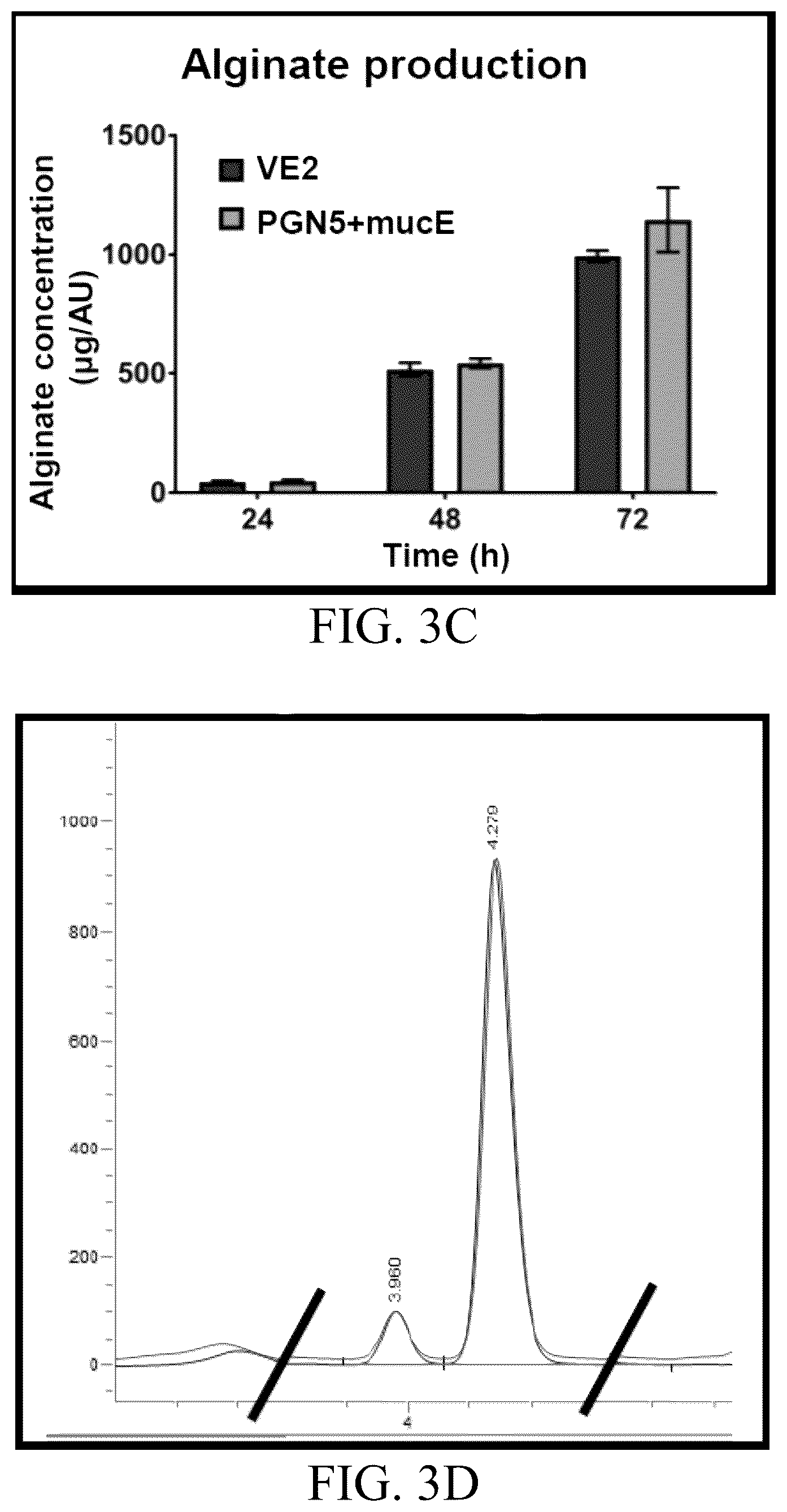Patent US12359163 Figure 6 – Bacterial cultures and methods for production of alginate