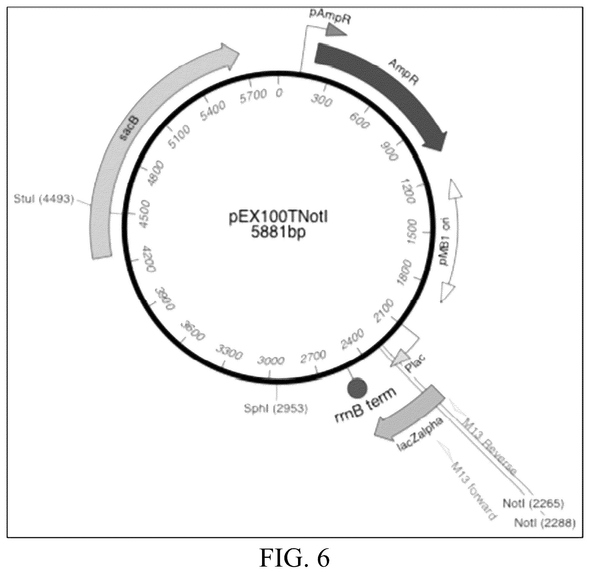Patent US12359163 Figure 10 – Bacterial cultures and methods for production of alginate