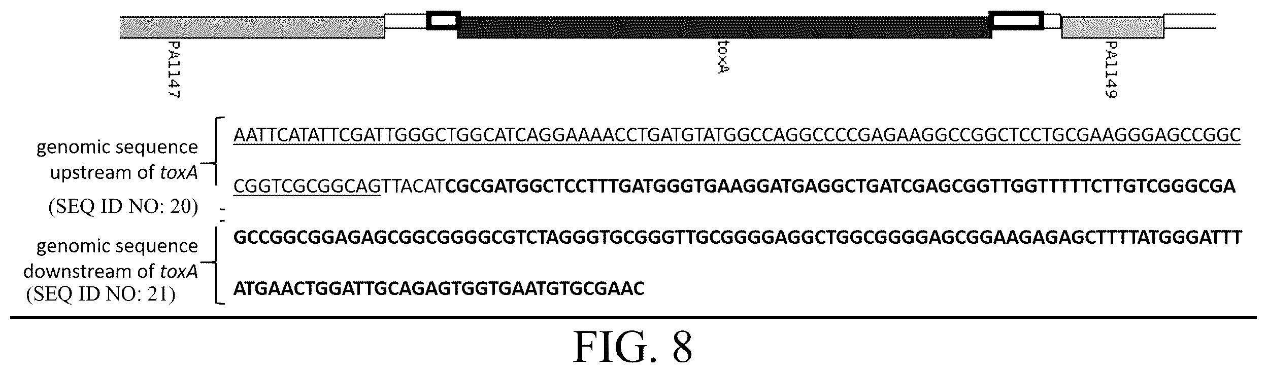 Patent US12359163 Figure 12 – Bacterial cultures and methods for production of alginate