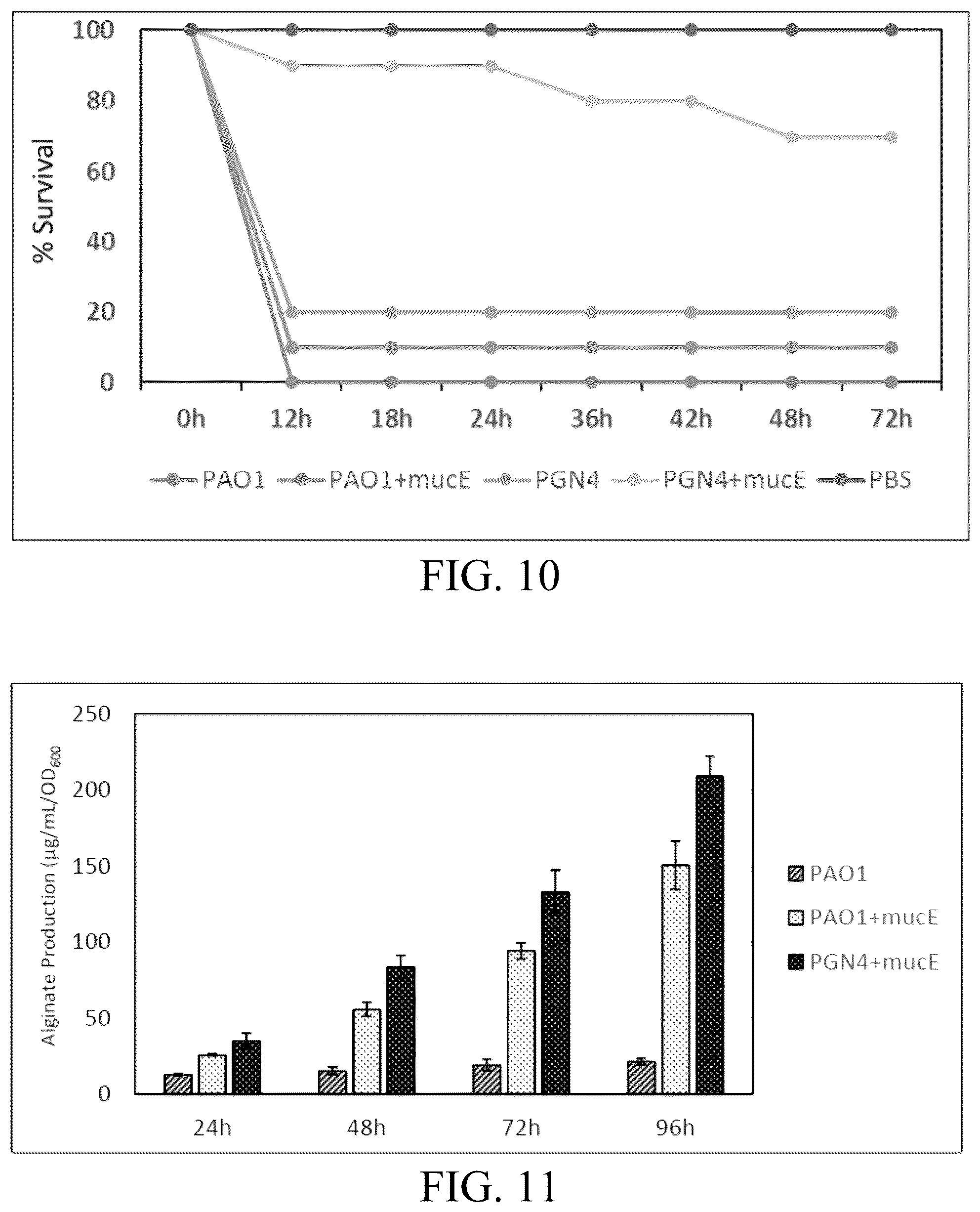 Patent US12359163 Figure 14 – Bacterial cultures and methods for production of alginate