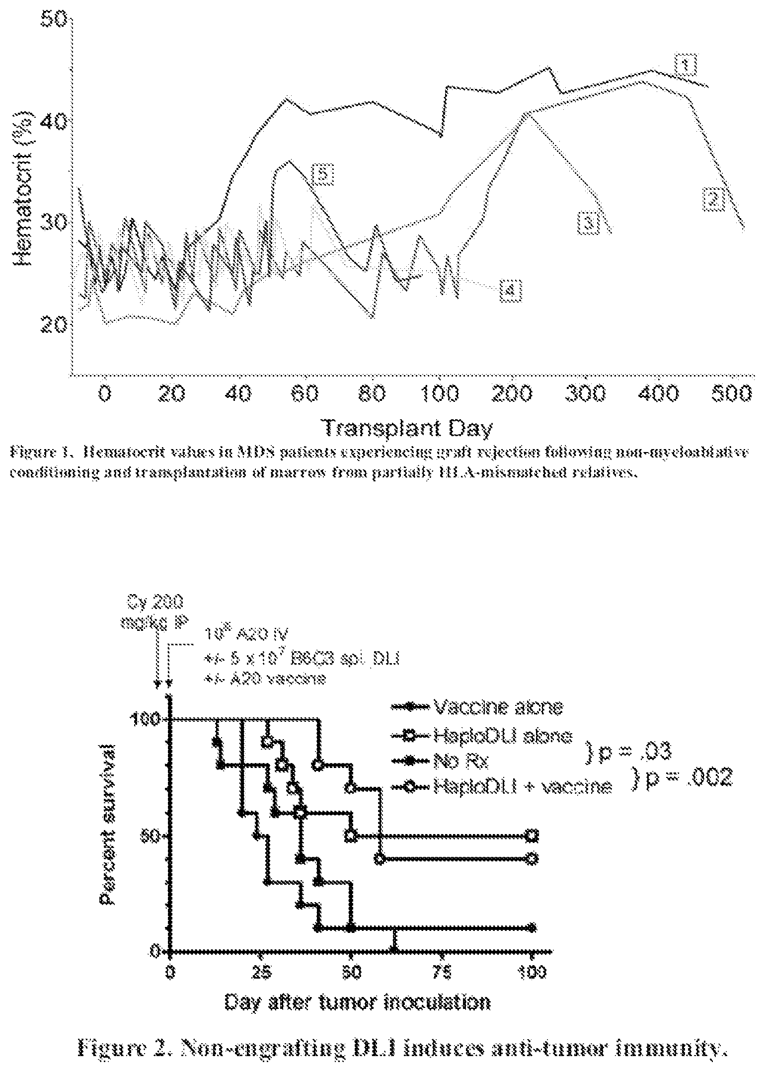 Patent US12359167 — Methods and compositions for infusion of transiently engrafting, selected populations of allogeneic lymphocytes to treat cancer — Figure 1