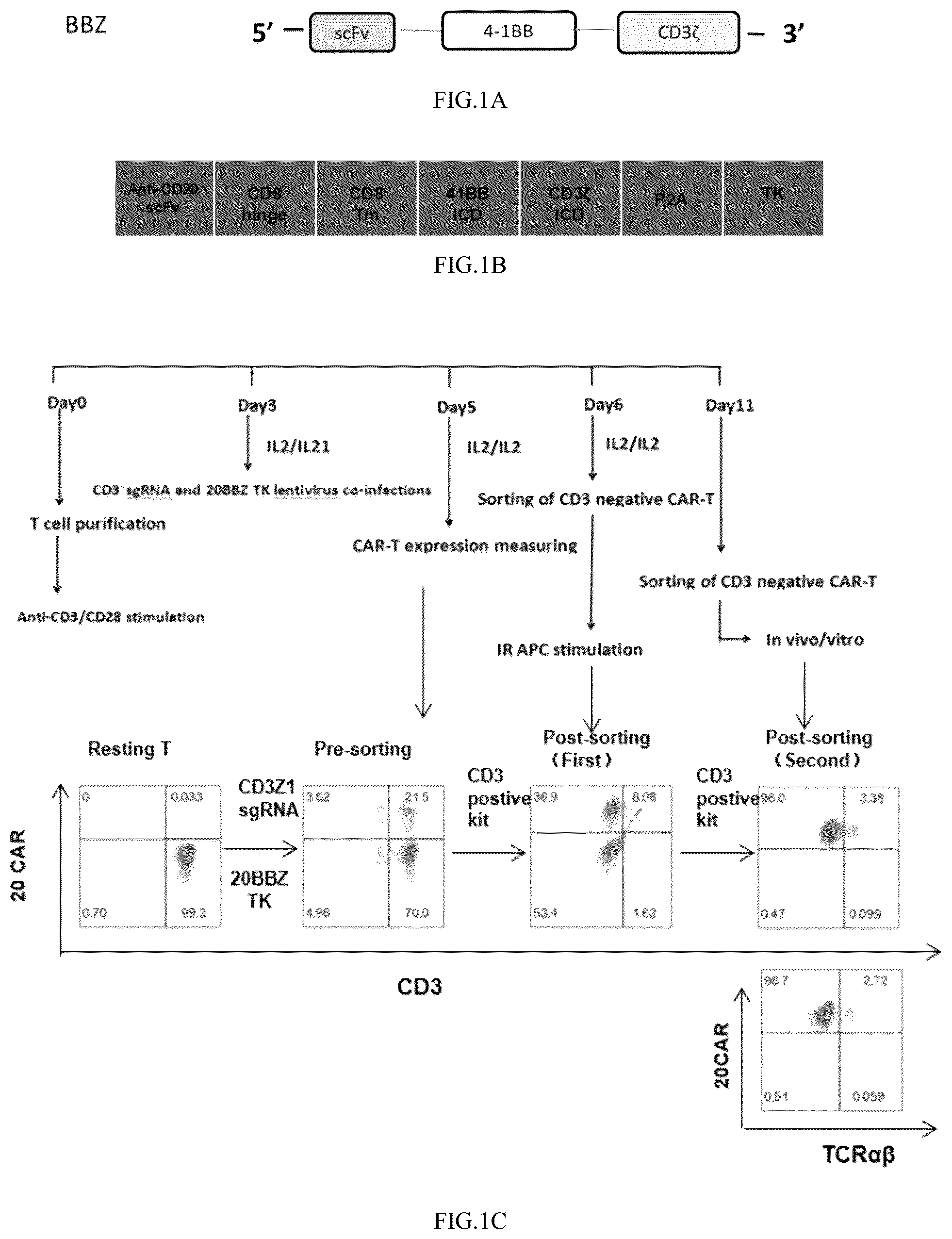 Patent US12359169 Figure 1 – Universal CAR-T cell and preparation method and use thereof