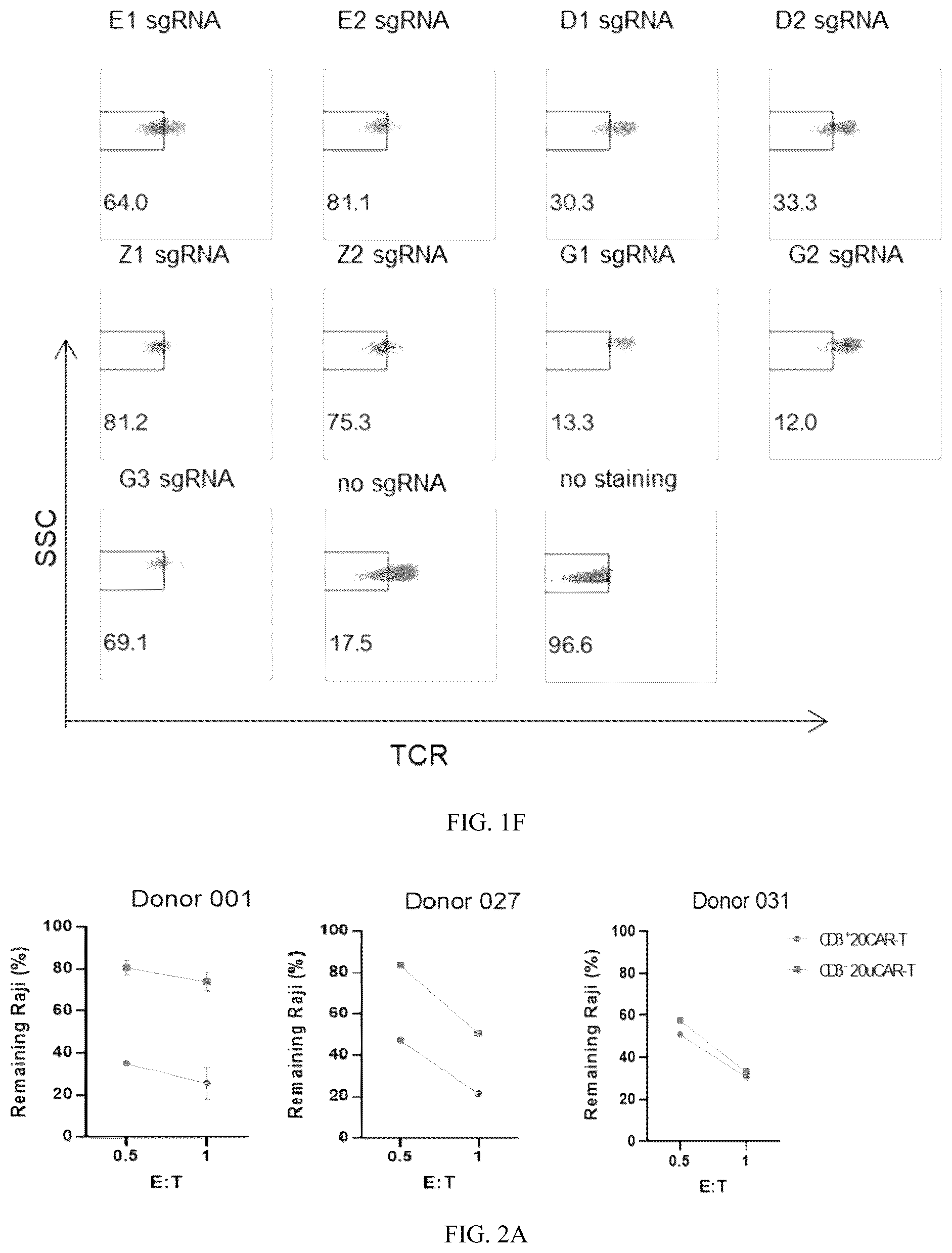 Patent US12359169 Figure 3 – Universal CAR-T cell and preparation method and use thereof