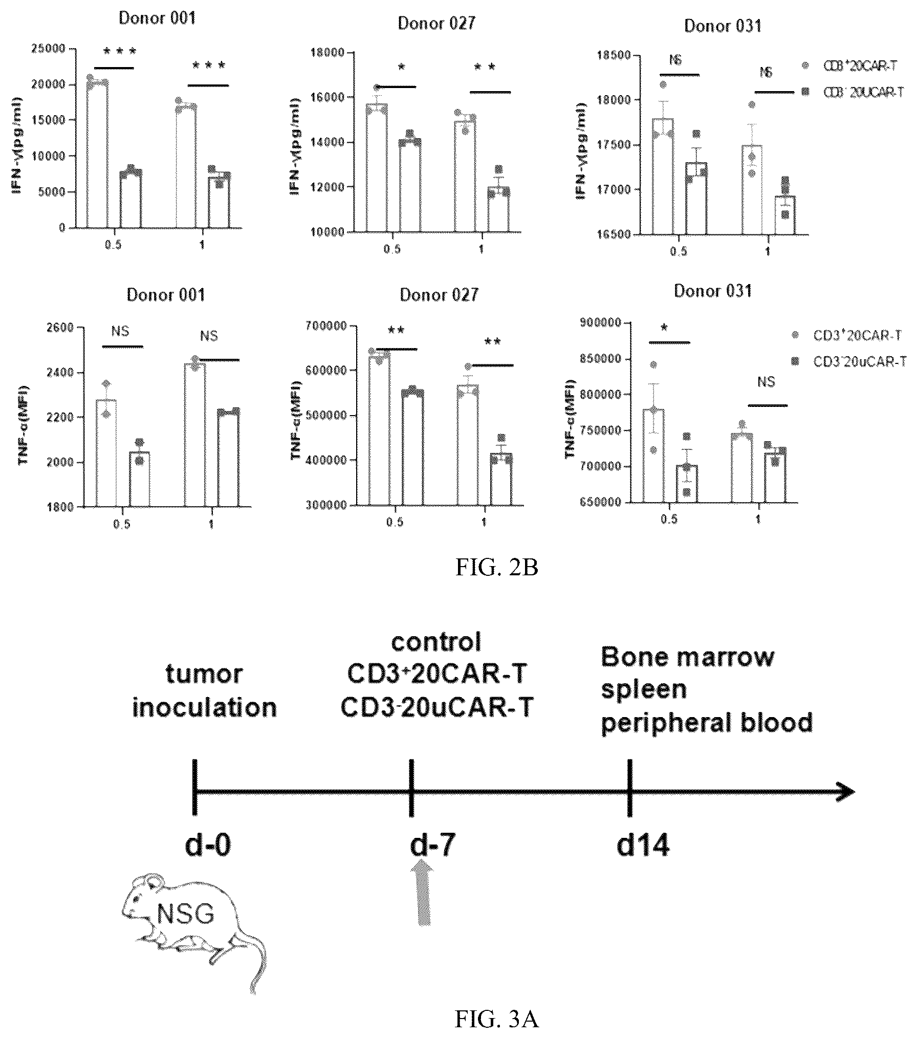 Patent US12359169 Figure 4 – Universal CAR-T cell and preparation method and use thereof