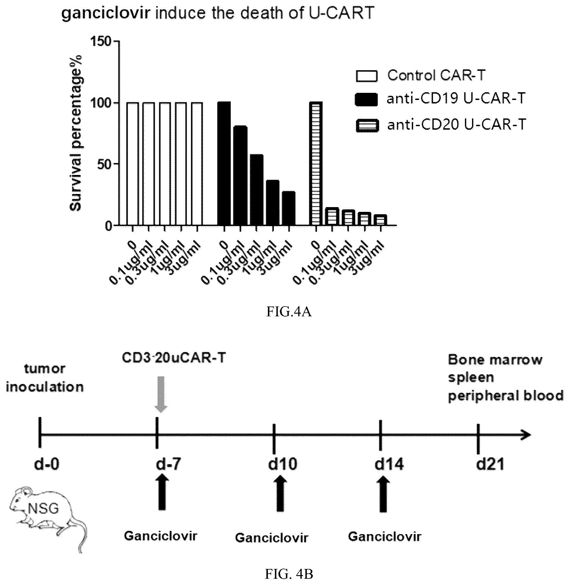 Patent US12359169 Figure 7 – Universal CAR-T cell and preparation method and use thereof