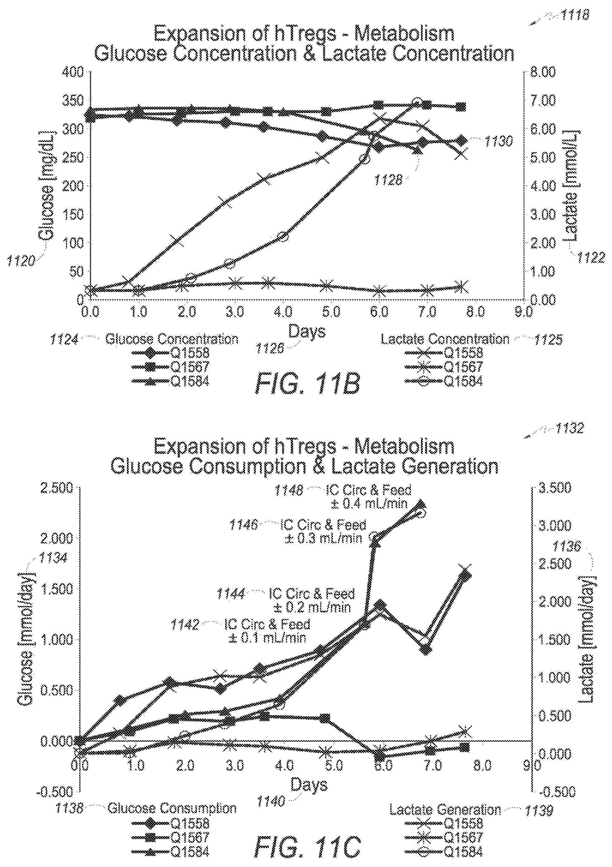 Patent US12359170 Figure 18 – Expanding cells in a bioreactor