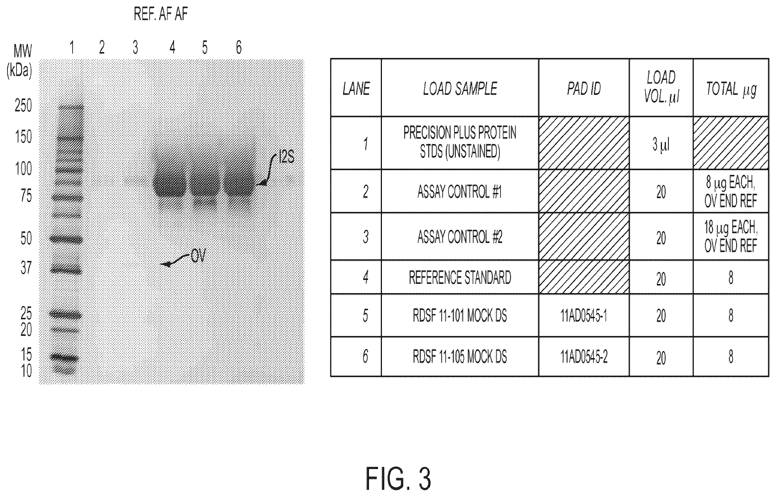 Patent US12359178 Figure 3 – Methods and compositions for treatment of hunter syndrome comprising iduronate-2-sulfatase