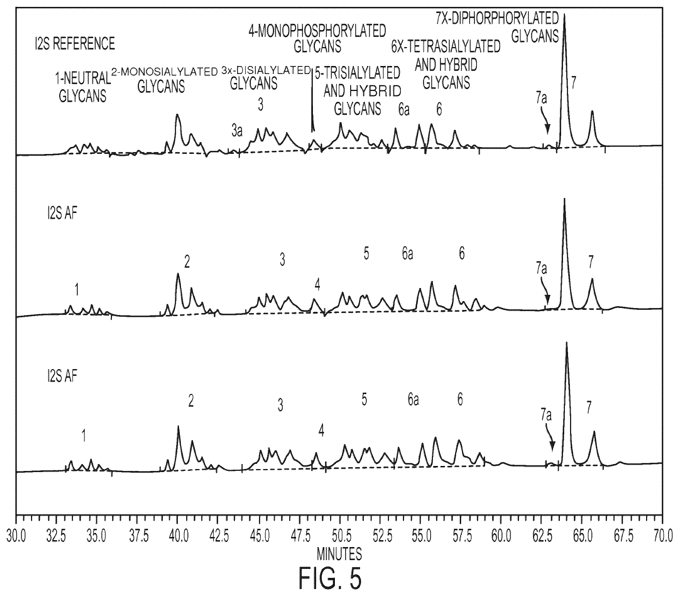 Patent US12359178 Figure 5 – Methods and compositions for treatment of hunter syndrome comprising iduronate-2-sulfatase
