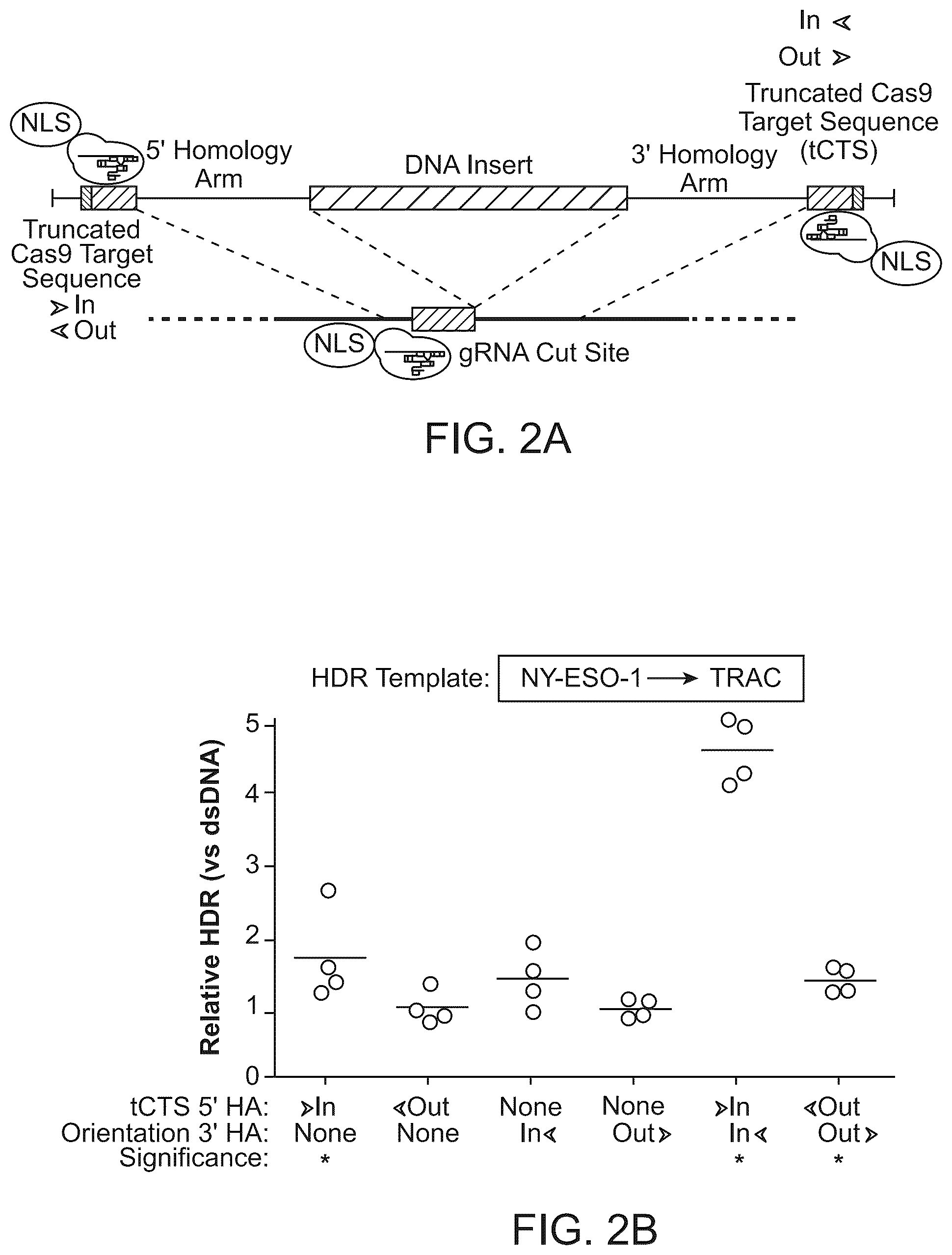 Patent US12359179 Figure 2 – Compositions and methods for modifying a target nucleic acid
