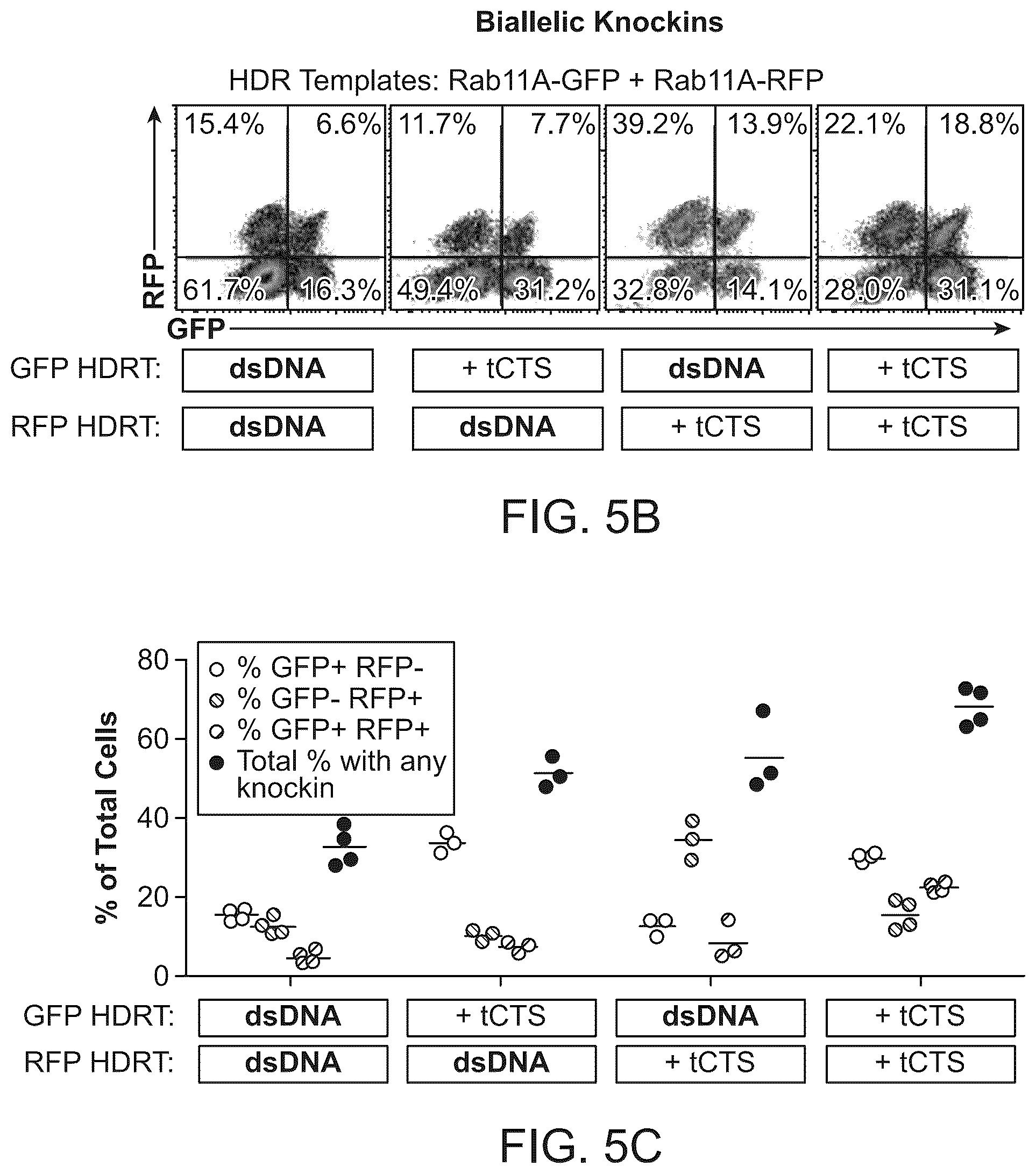 Patent US12359179 Figure 12 – Compositions and methods for modifying a target nucleic acid