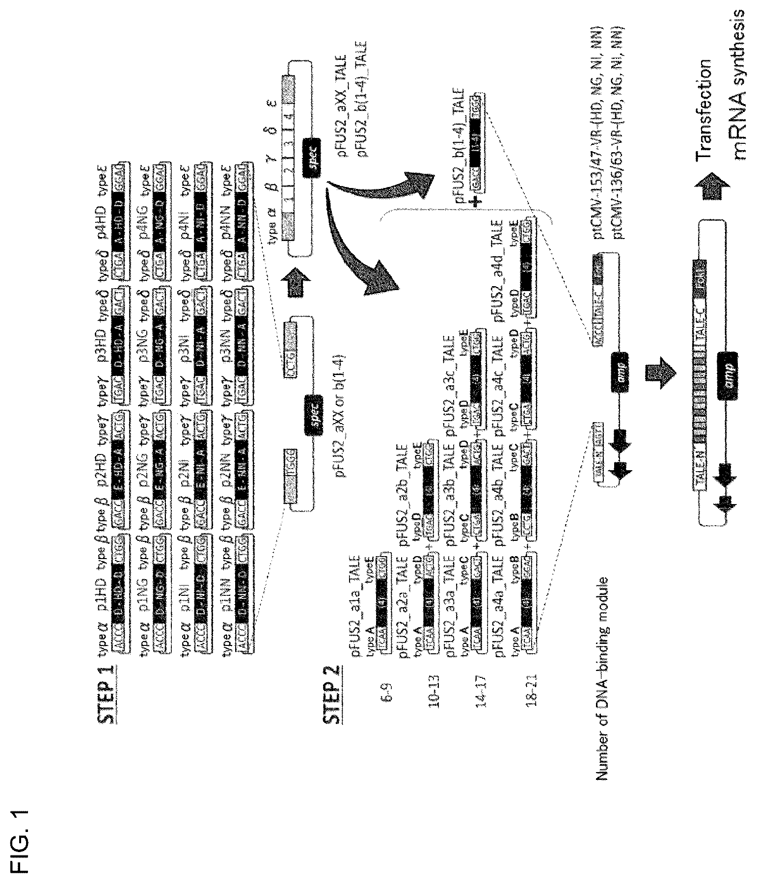 Patent US12359180 Figure 1 – Polypeptide containing DNA-binding domain