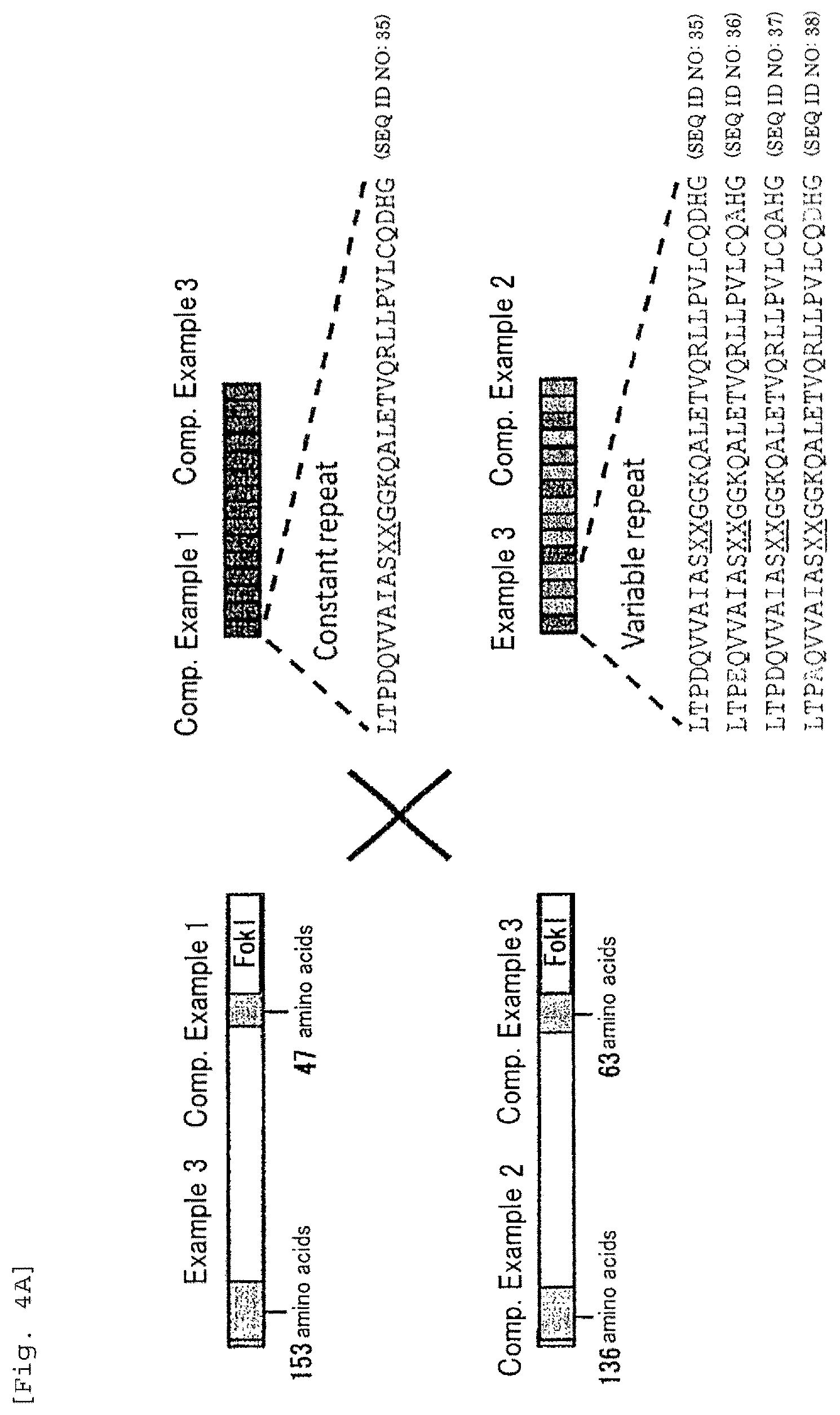 Patent US12359180 Figure 6 – Polypeptide containing DNA-binding domain