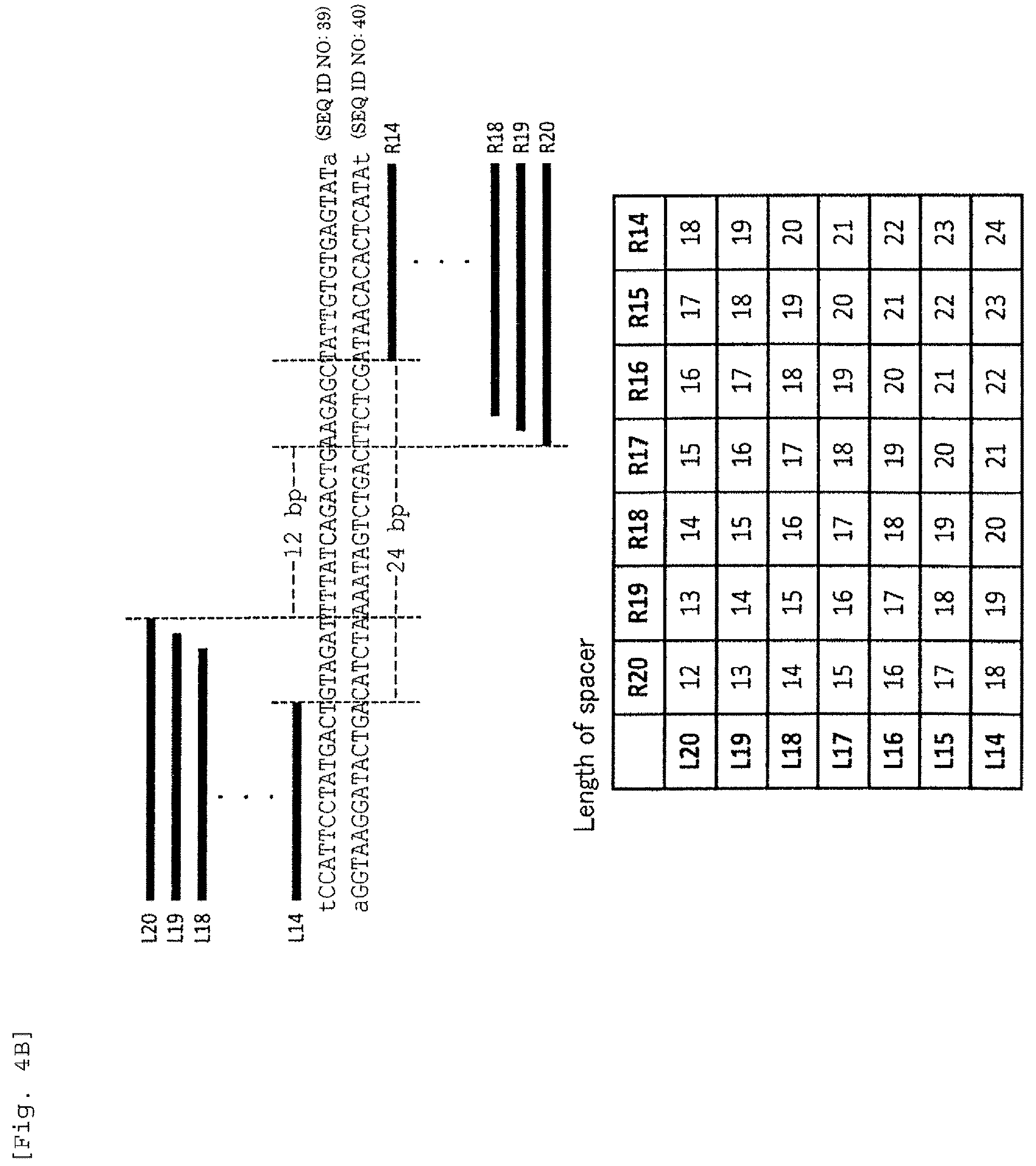 Patent US12359180 Figure 7 – Polypeptide containing DNA-binding domain