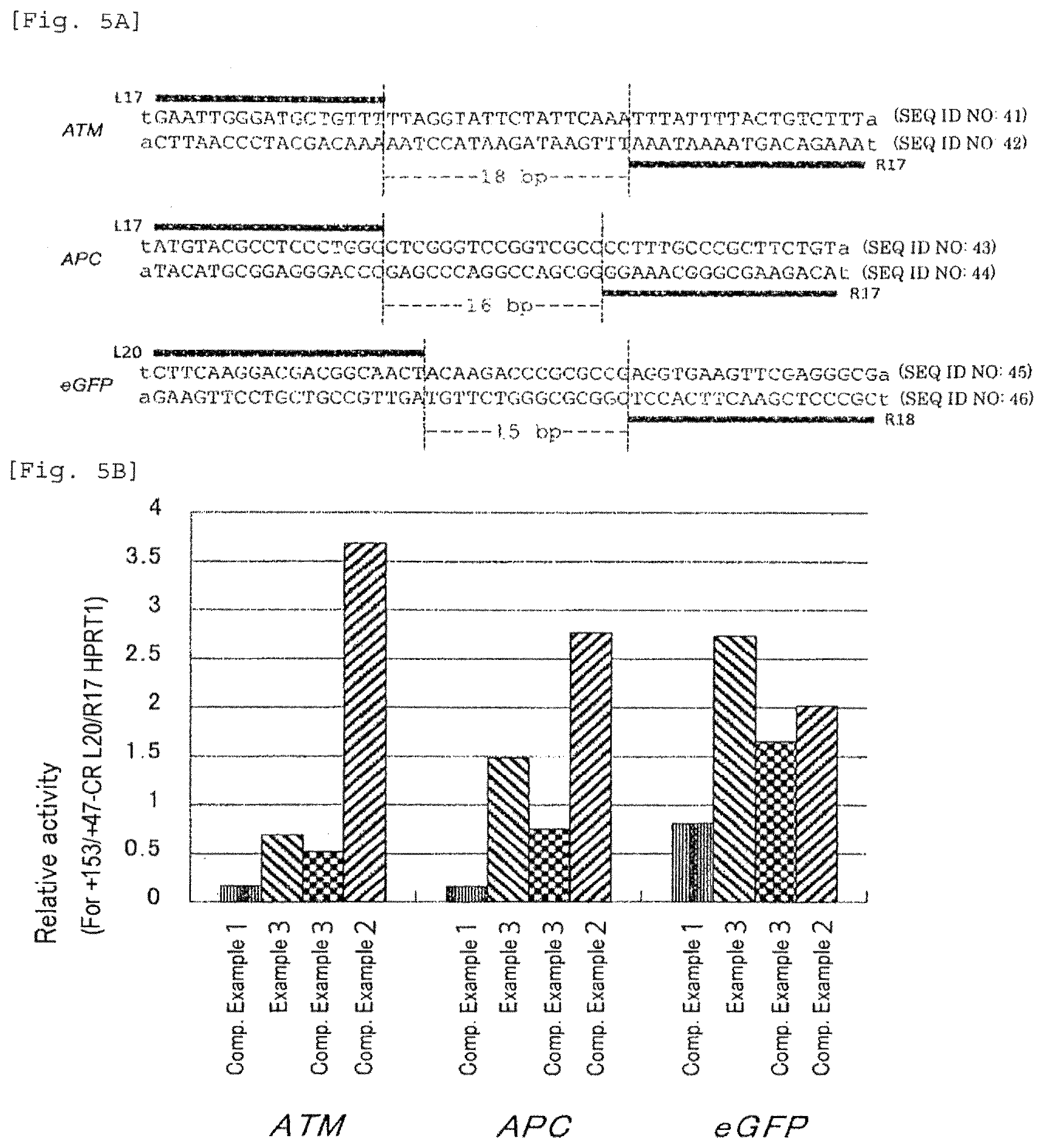 Patent US12359180 Figure 9 – Polypeptide containing DNA-binding domain