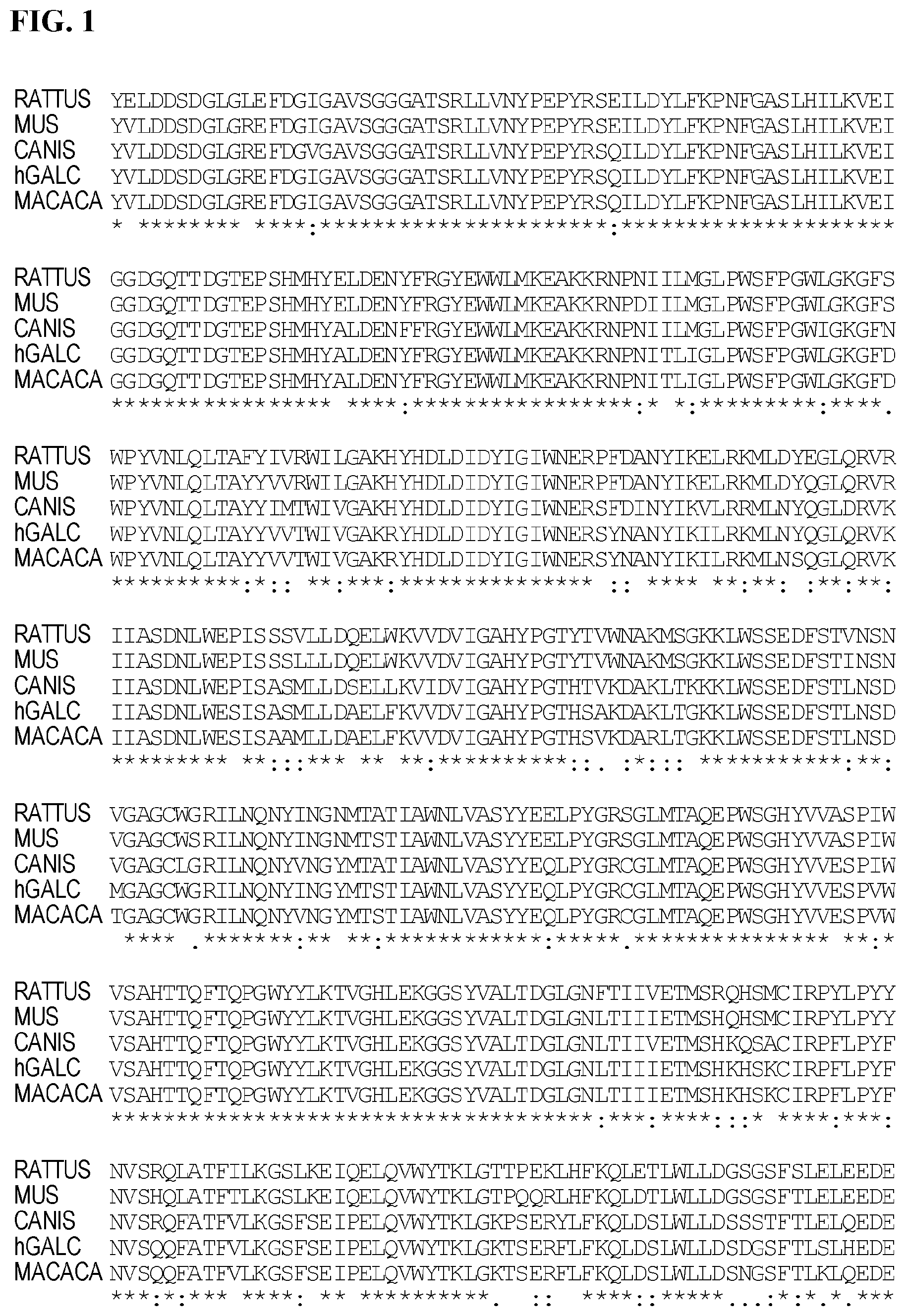 Patent US12359181 Figure 1 – Optimized GALC genes and expression cassettes and their use