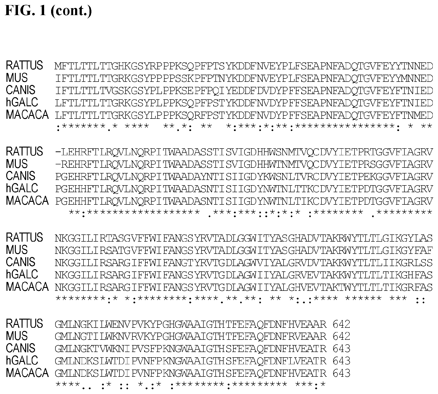 Patent US12359181 Figure 2 – Optimized GALC genes and expression cassettes and their use