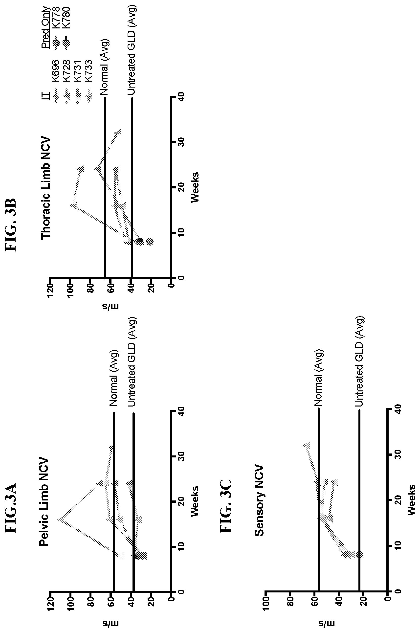Patent US12359181 Figure 4 – Optimized GALC genes and expression cassettes and their use