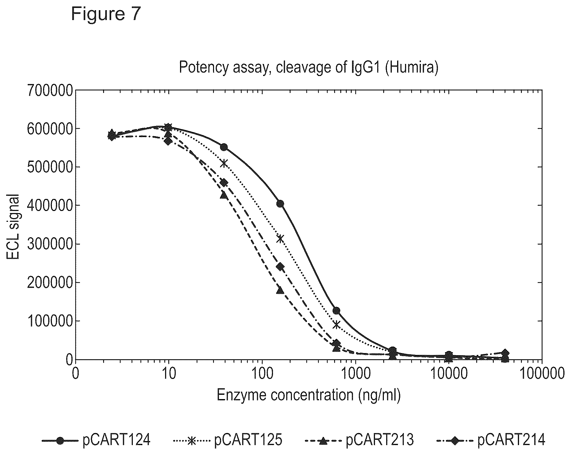Patent US12359183 Figure 6 – Cysteine protease