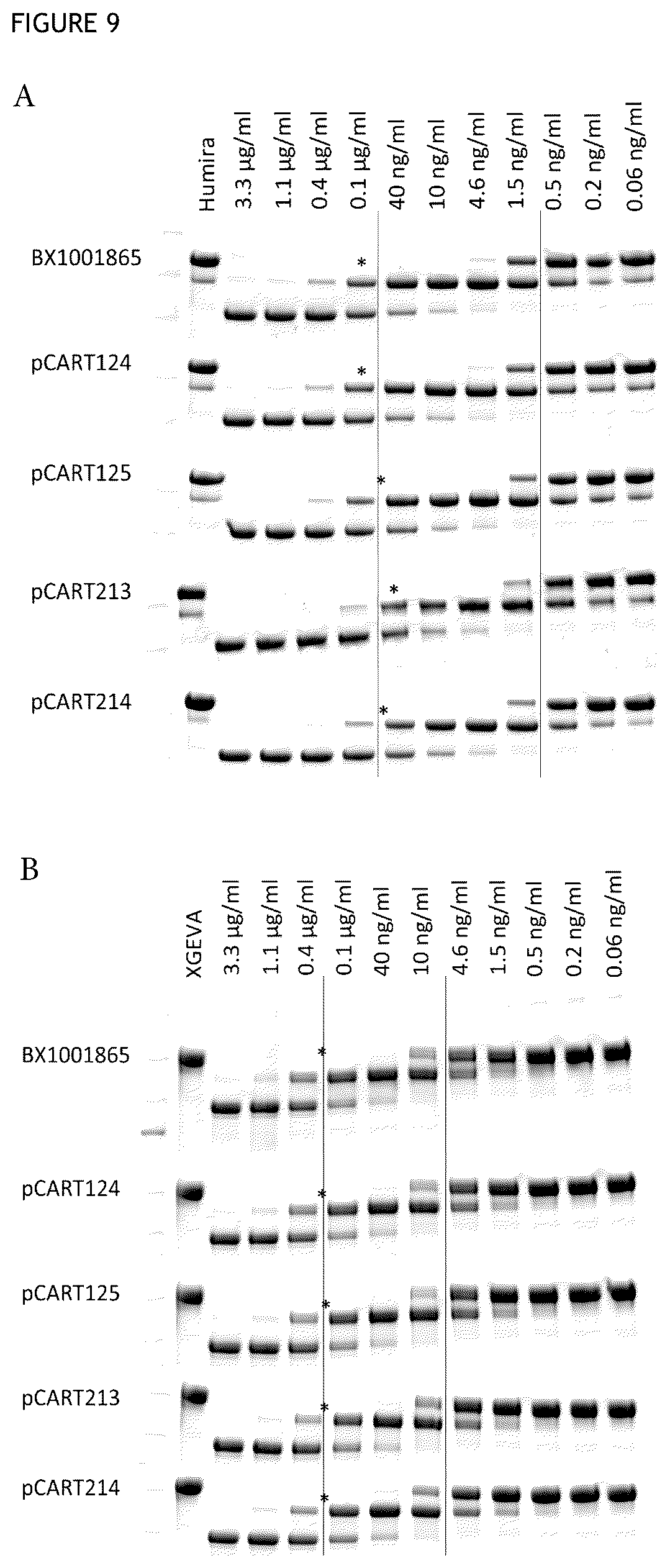 Patent US12359183 Figure 8 – Cysteine protease