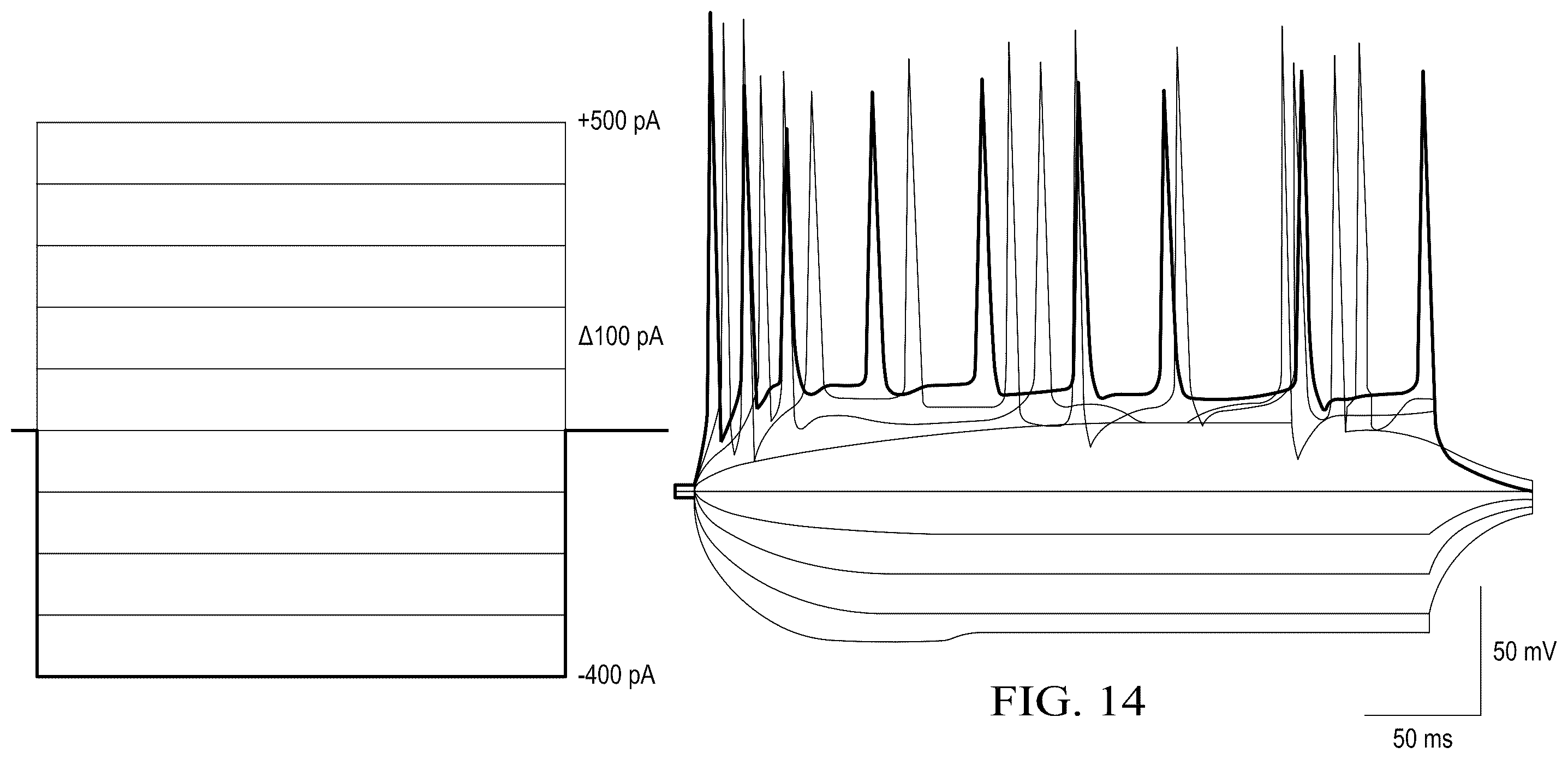 Patent US12359188 Figure 12 – Method for producing therapeutic exosomes from nanoelectroporation and other non-endocytic cell transfection