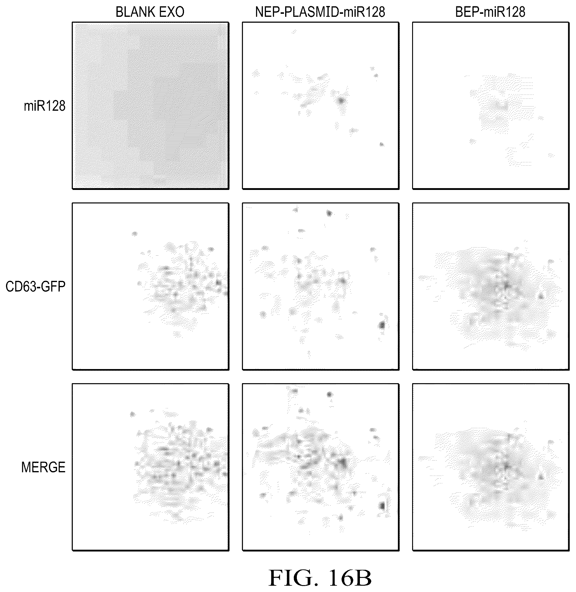 Patent US12359188 Figure 15 – Method for producing therapeutic exosomes from nanoelectroporation and other non-endocytic cell transfection