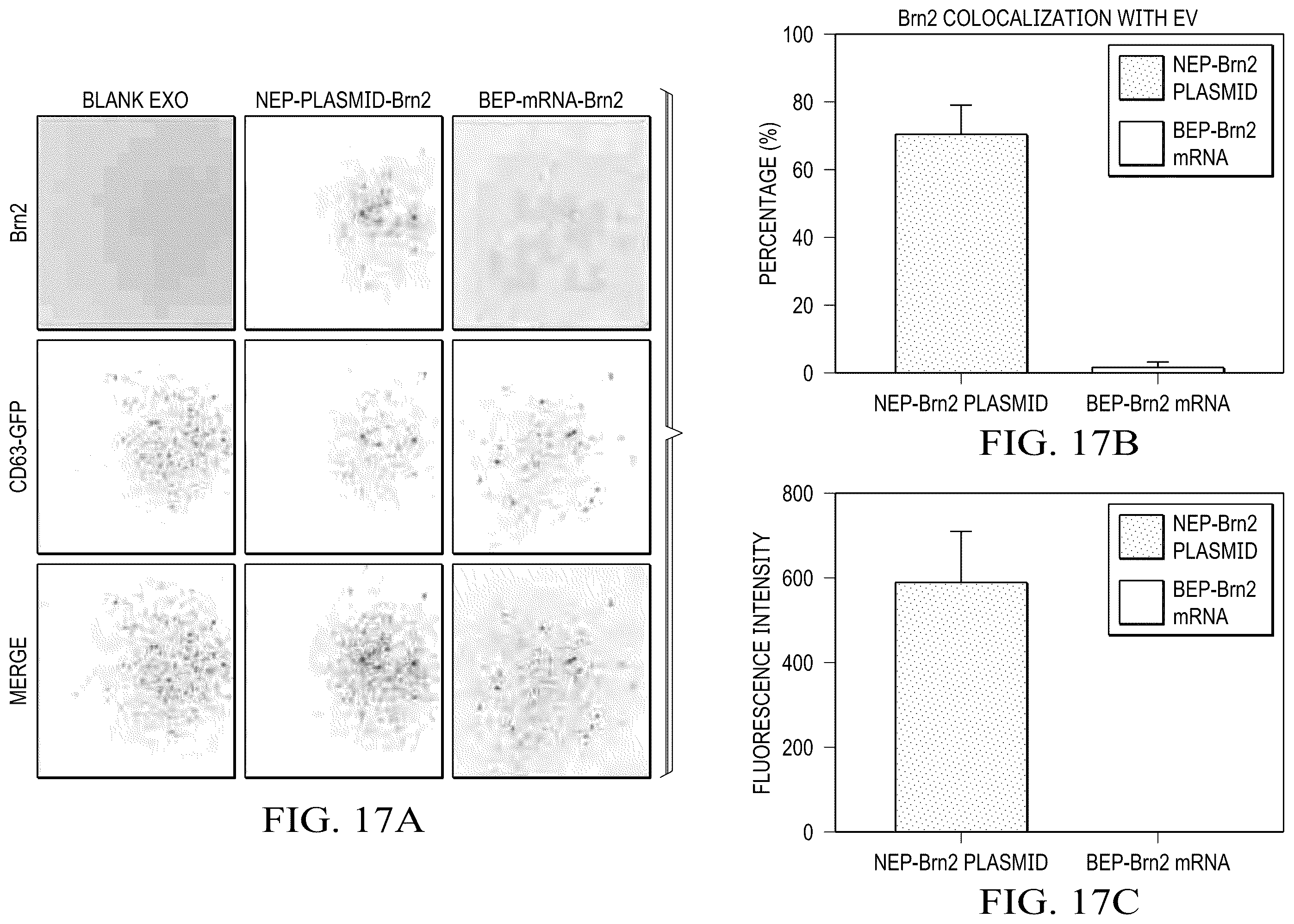 Patent US12359188 Figure 18 – Method for producing therapeutic exosomes from nanoelectroporation and other non-endocytic cell transfection