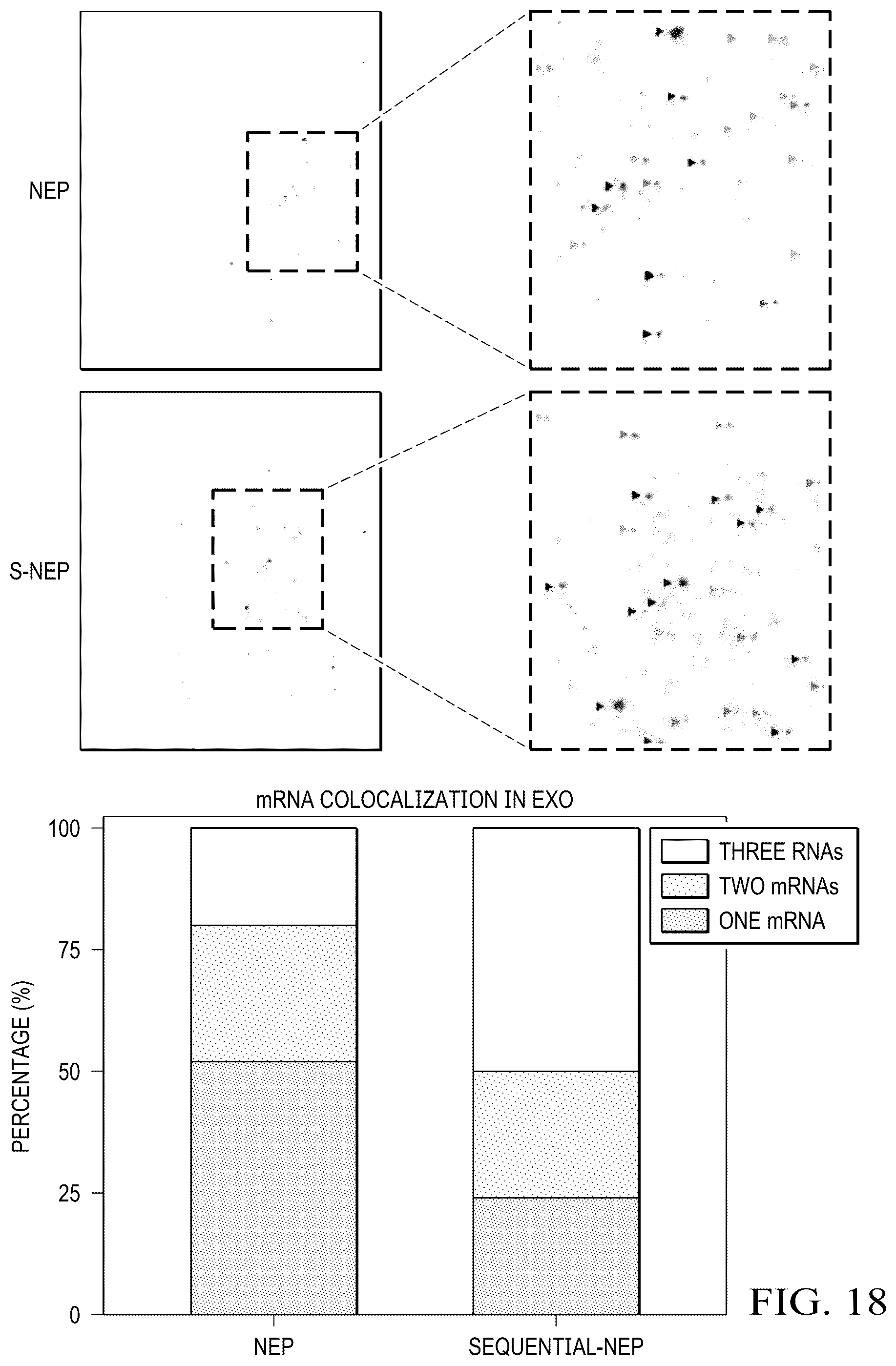 Patent US12359188 Figure 19 – Method for producing therapeutic exosomes from nanoelectroporation and other non-endocytic cell transfection