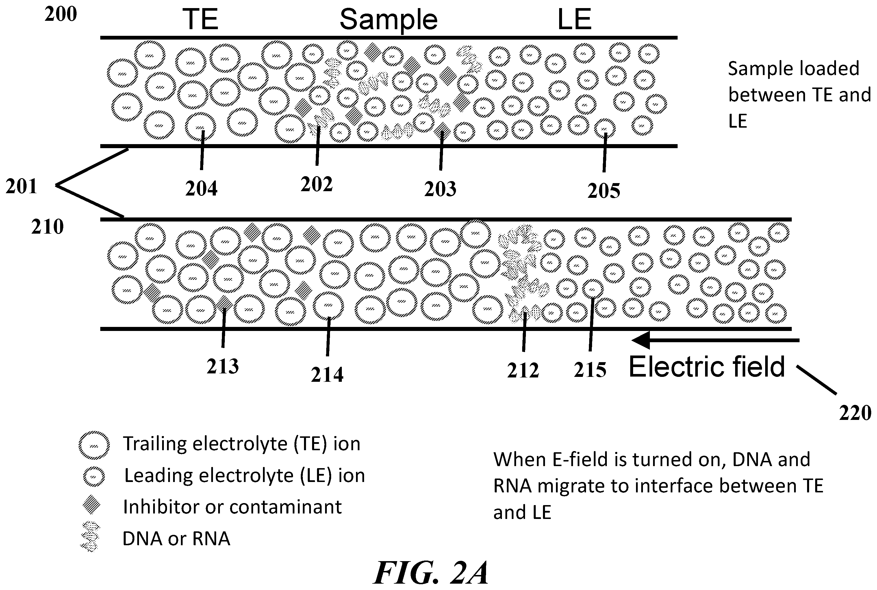 Patent US12359190 Figure 3 – Systems, devices, and methods for isotachophoresis