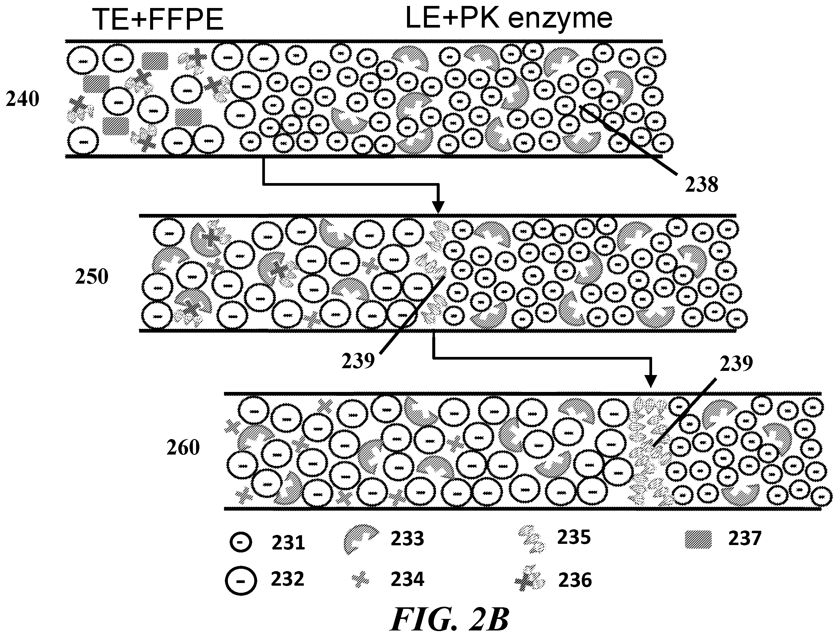 Patent US12359190 Figure 4 – Systems, devices, and methods for isotachophoresis