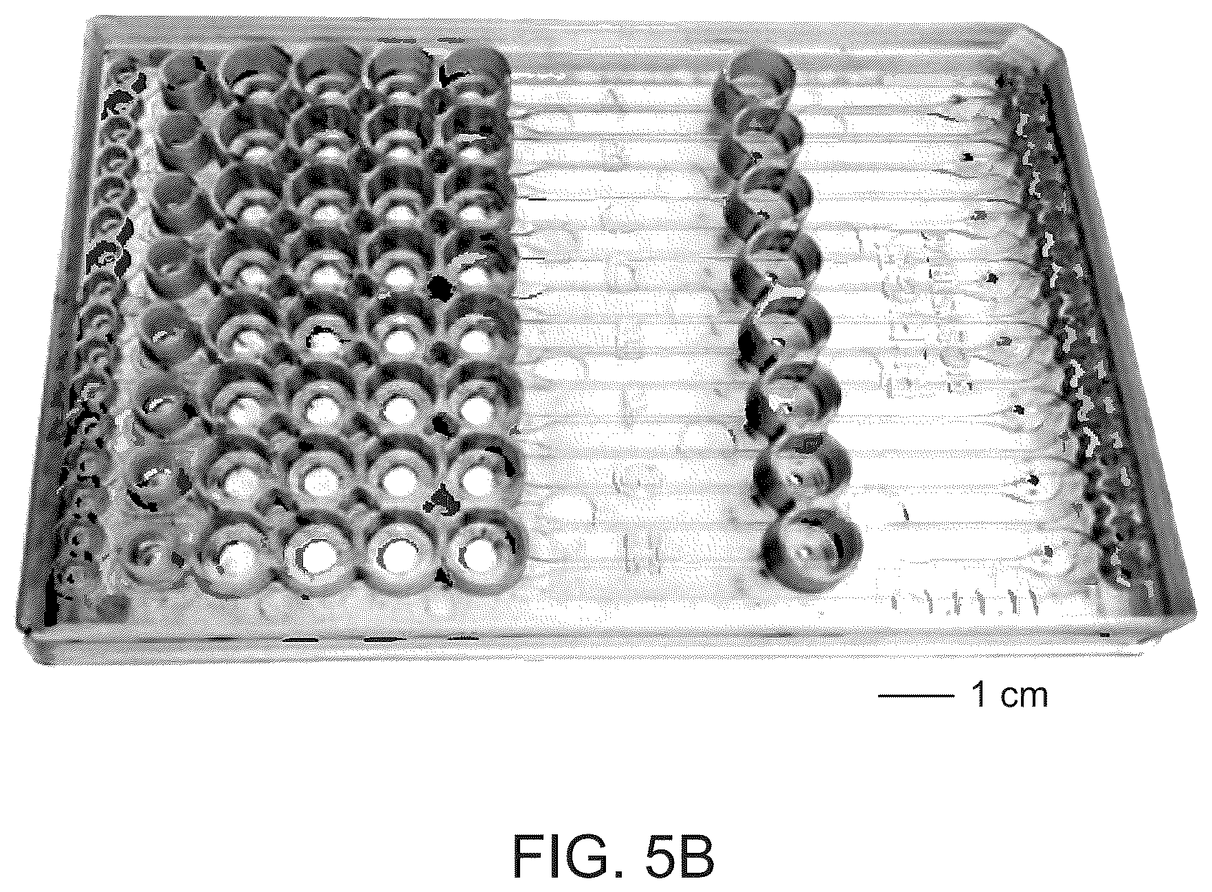 Patent US12359190 Figure 8 – Systems, devices, and methods for isotachophoresis