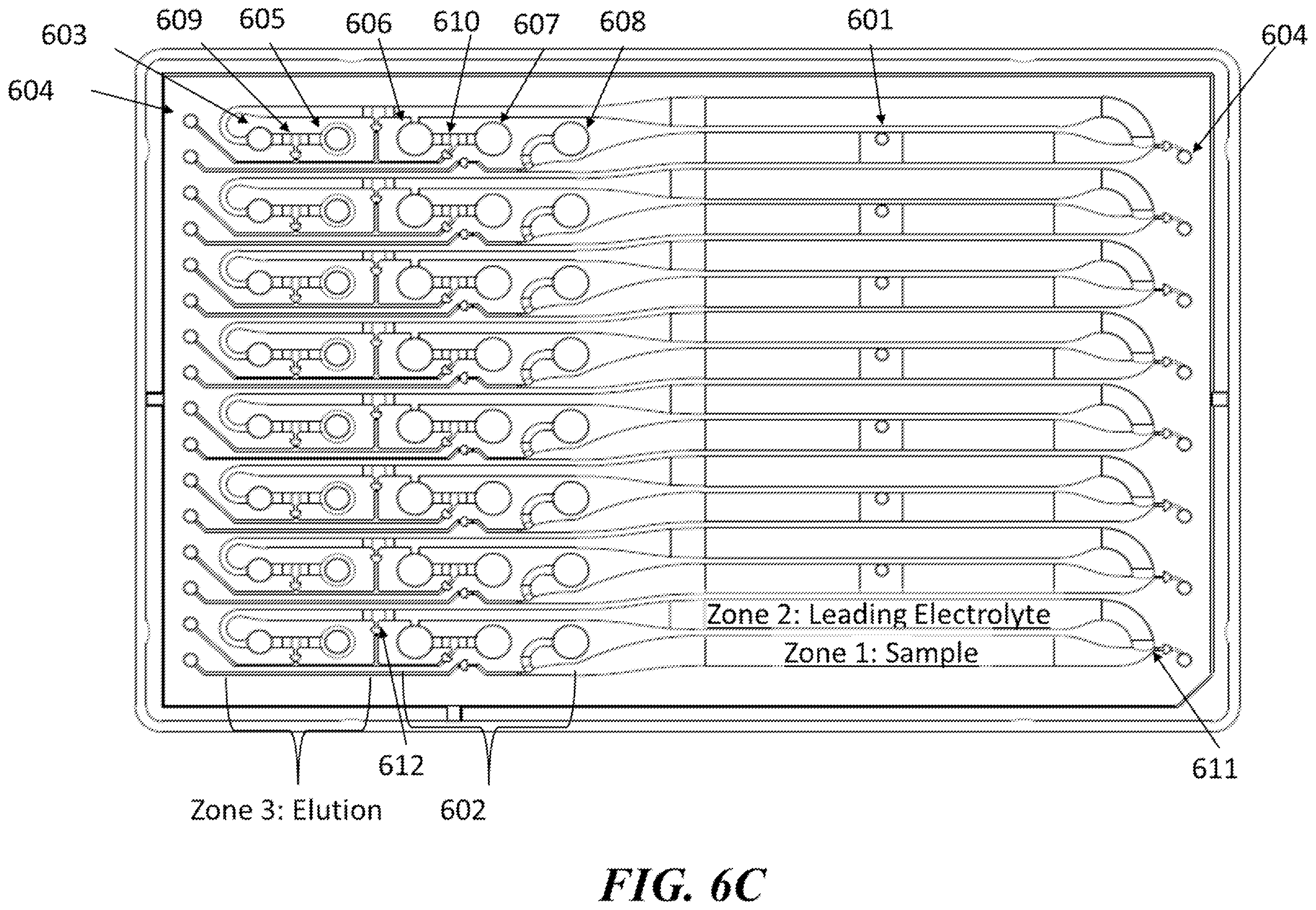 Patent US12359190 Figure 14 – Systems, devices, and methods for isotachophoresis