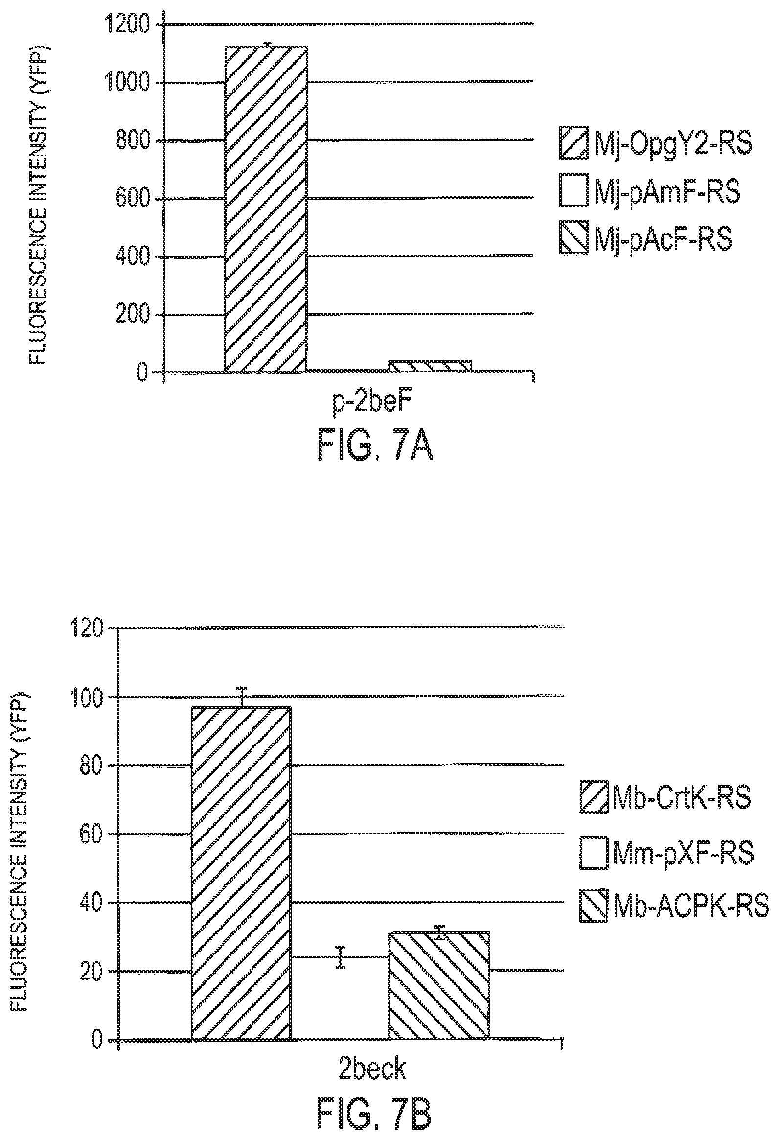 Patent US12359192 Figure 7 – Methods and compositions for display of macrocyclic peptides